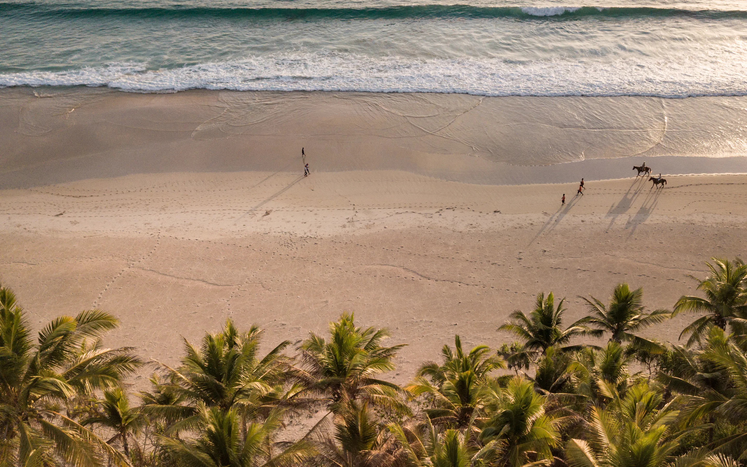 Tiny riders lead horses along a wide beach below swaying palms, with long shadows stretching toward the surf.