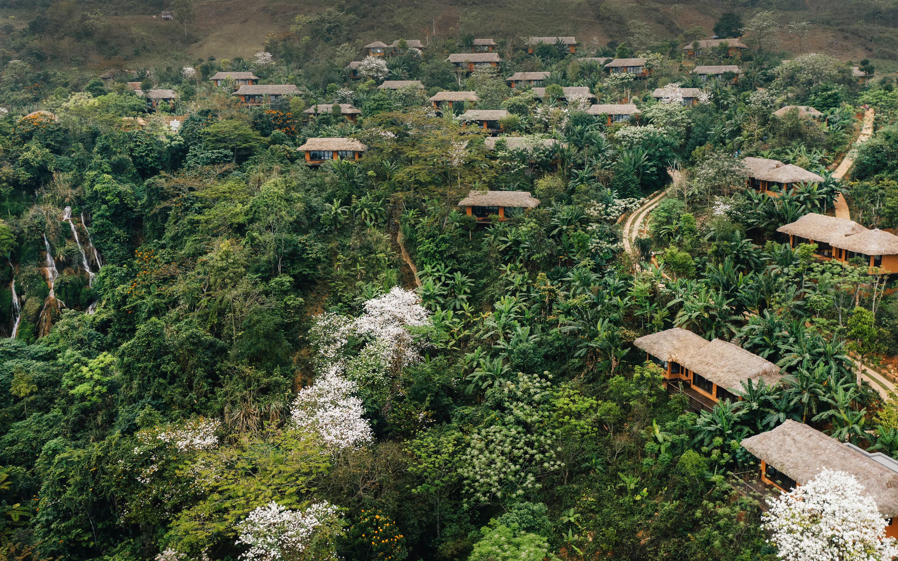 Thatched villas spread across Avana Retreat's lush hillside, with flowering trees and a winding path through the valley.