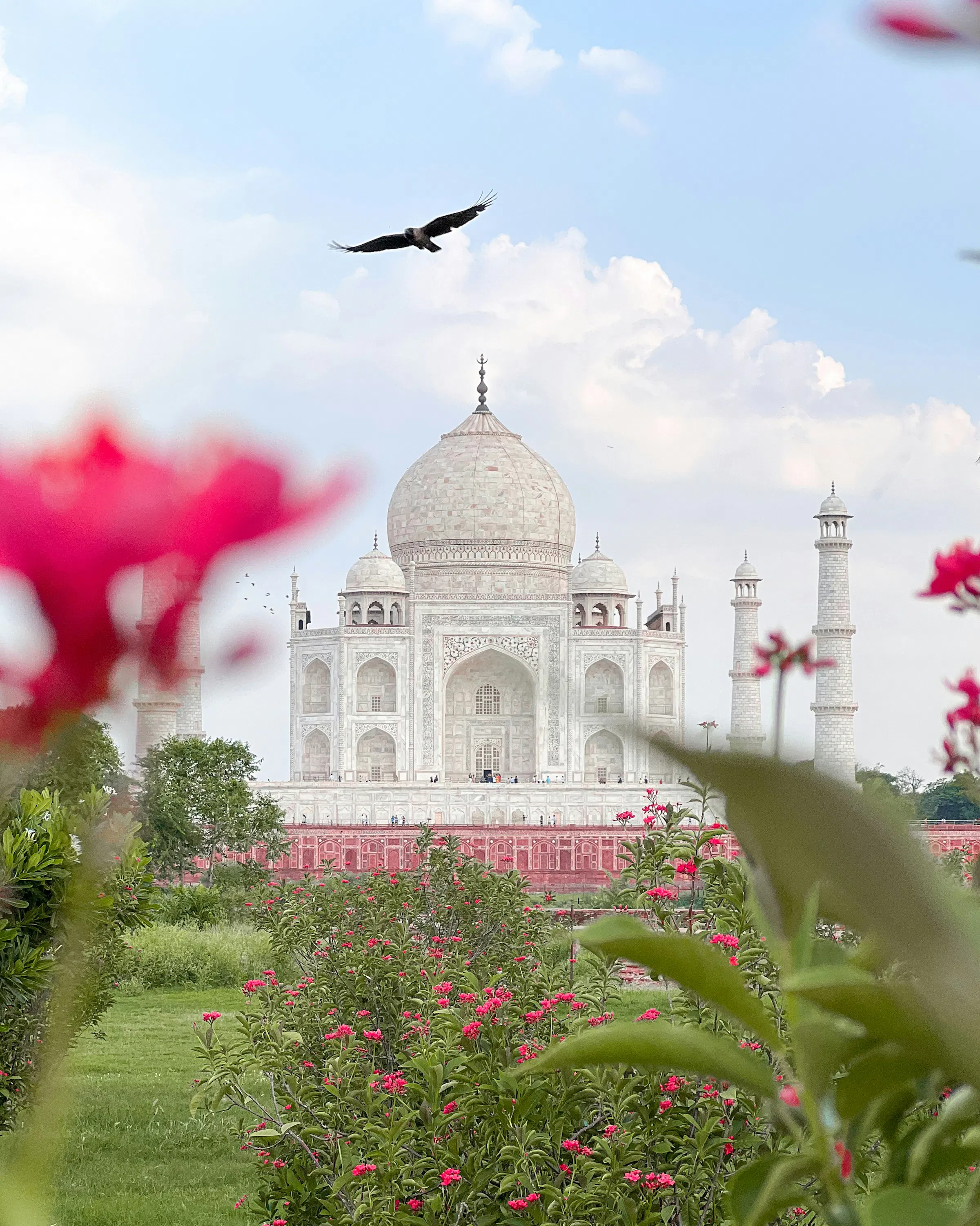 The Taj Mahal rises beyond flowering branches and a long garden path, with white marble glowing in soft light.