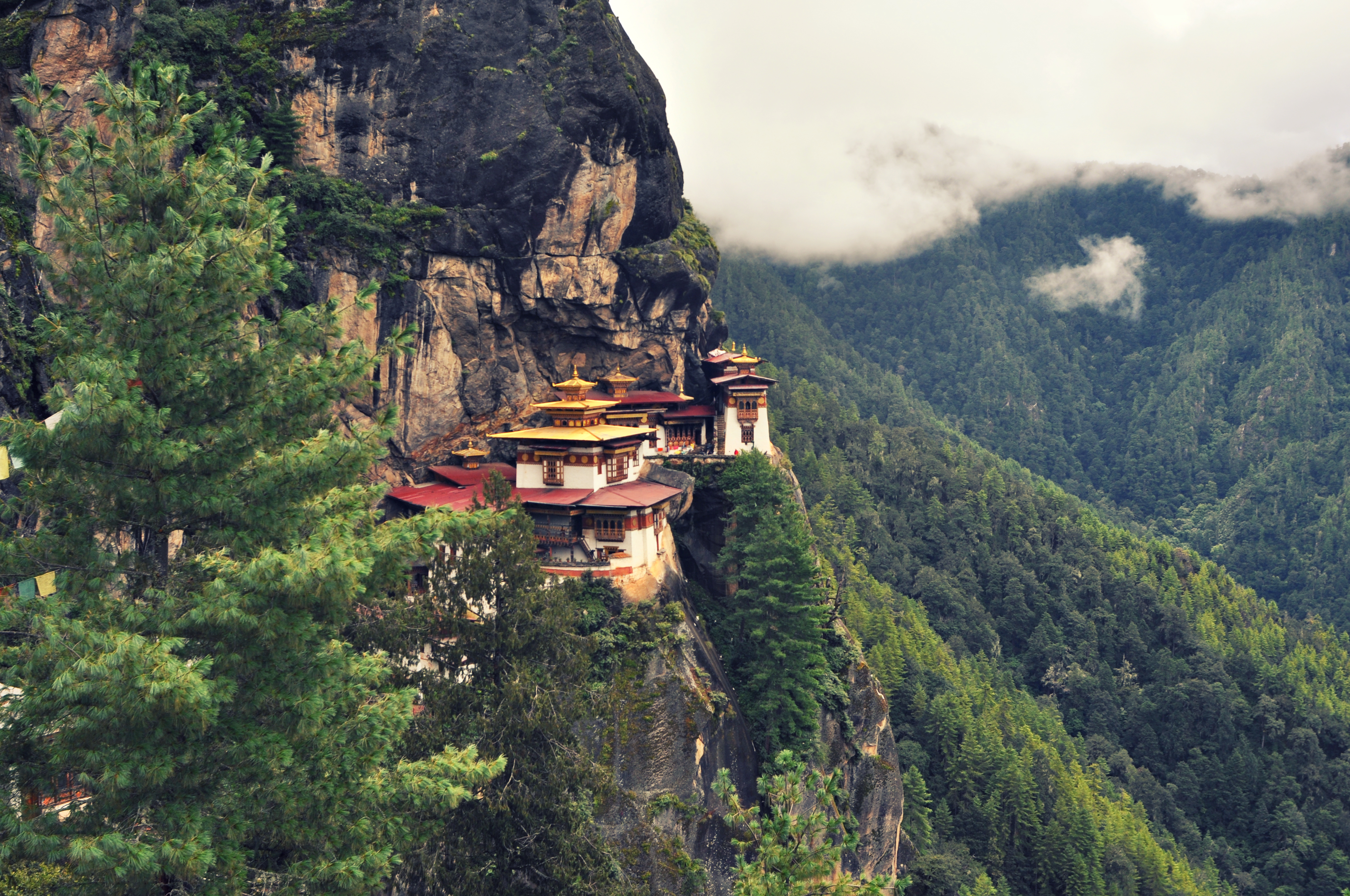 Tiger's Nest clings to a steep forested cliff, with low cloud and deep green mountains surrounding the monastery.
