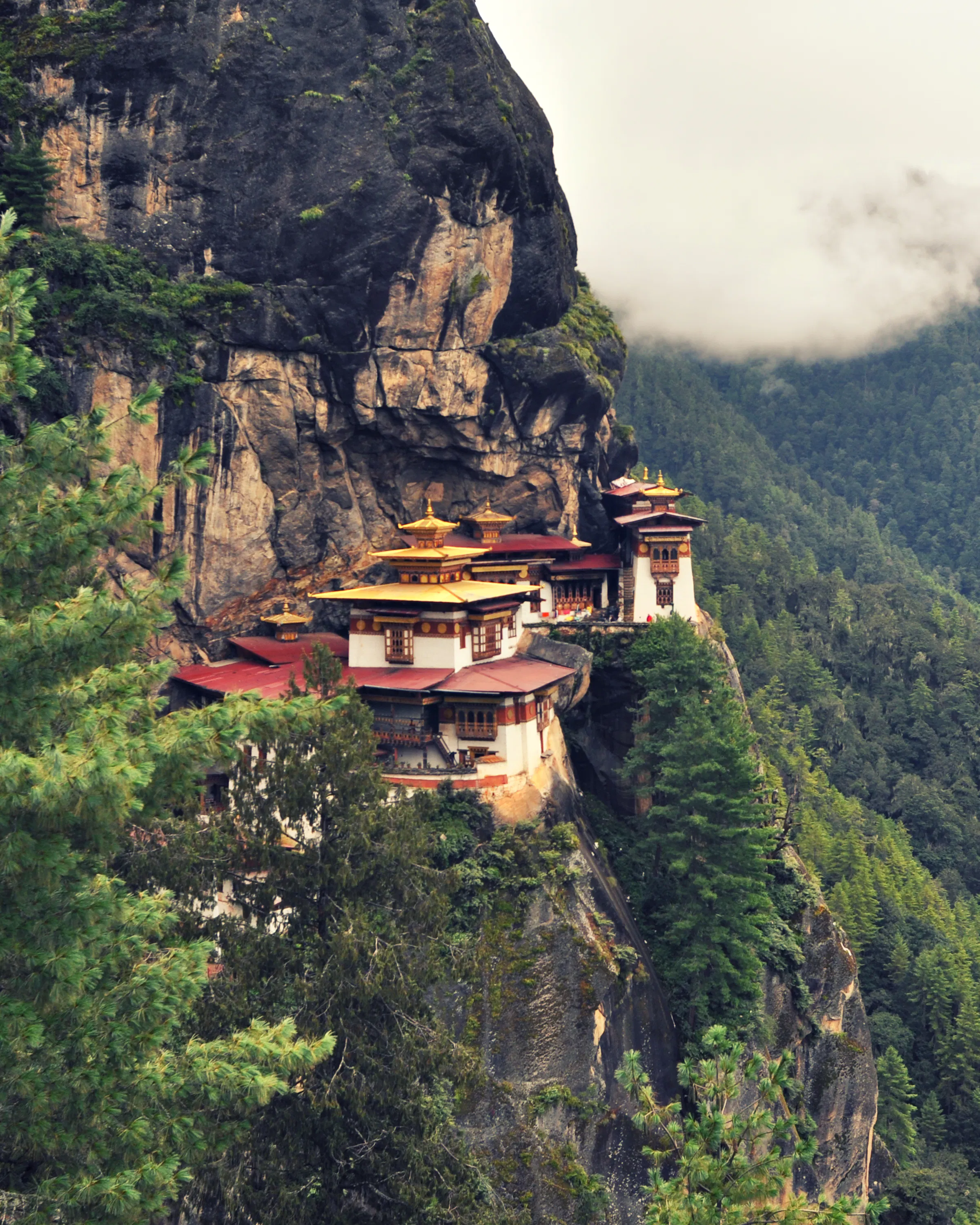 Tiger's Nest clings to a steep forested cliff, with low cloud and deep green mountains surrounding the monastery.