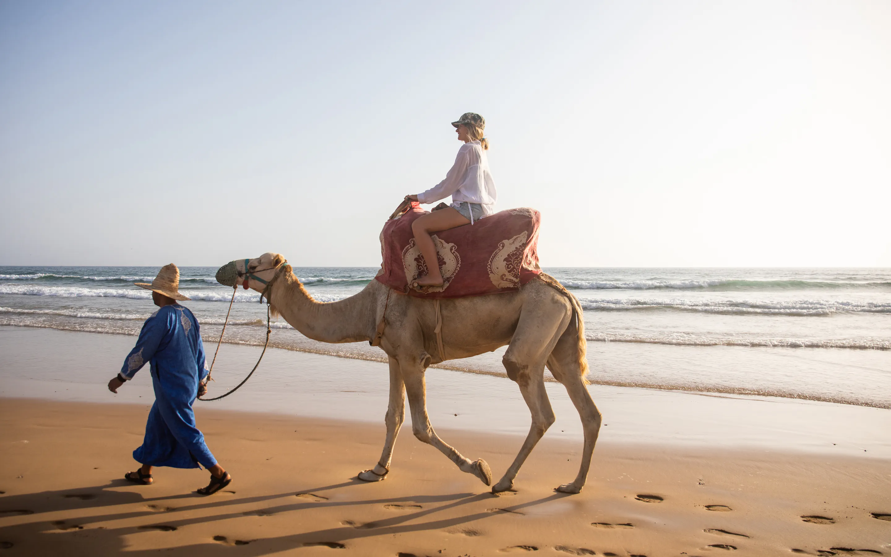 A guide leads a saddled camel along the beach, with gentle surf, wet sand, and a rider seated above the shoreline.