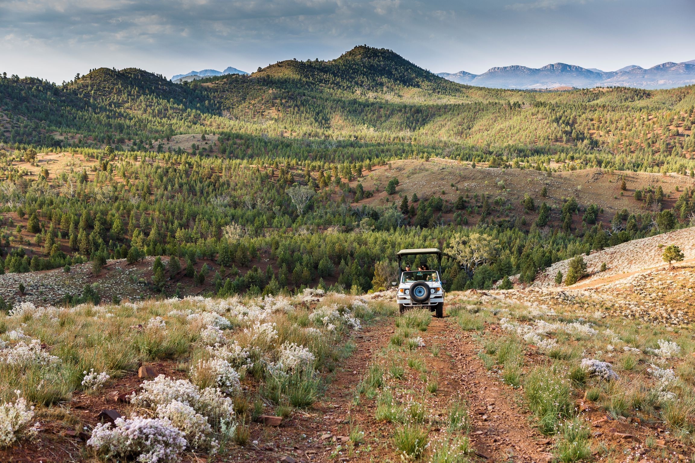 A four-wheel-drive vehicle climbs a rugged track through pale scrub with forested hills and blue ranges beyond.