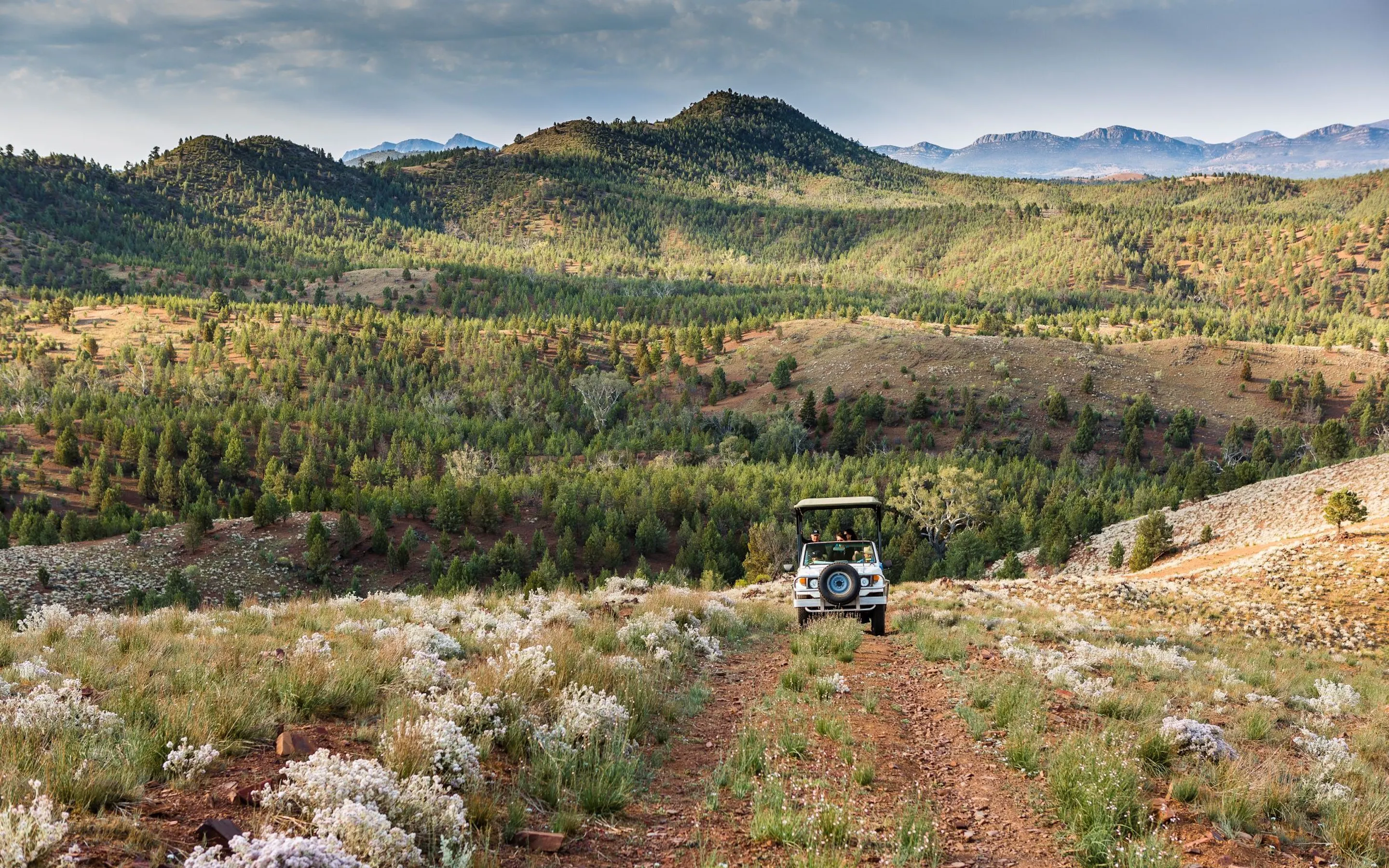 A four-wheel-drive vehicle climbs a rugged track through pale scrub with forested hills and blue ranges beyond.