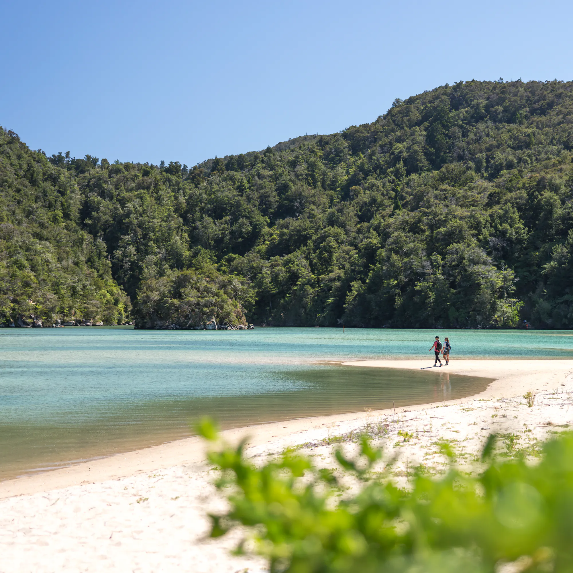 Two walkers cross a pale sand spit beside turquoise water, with dense native forest rising around the sheltered bay.