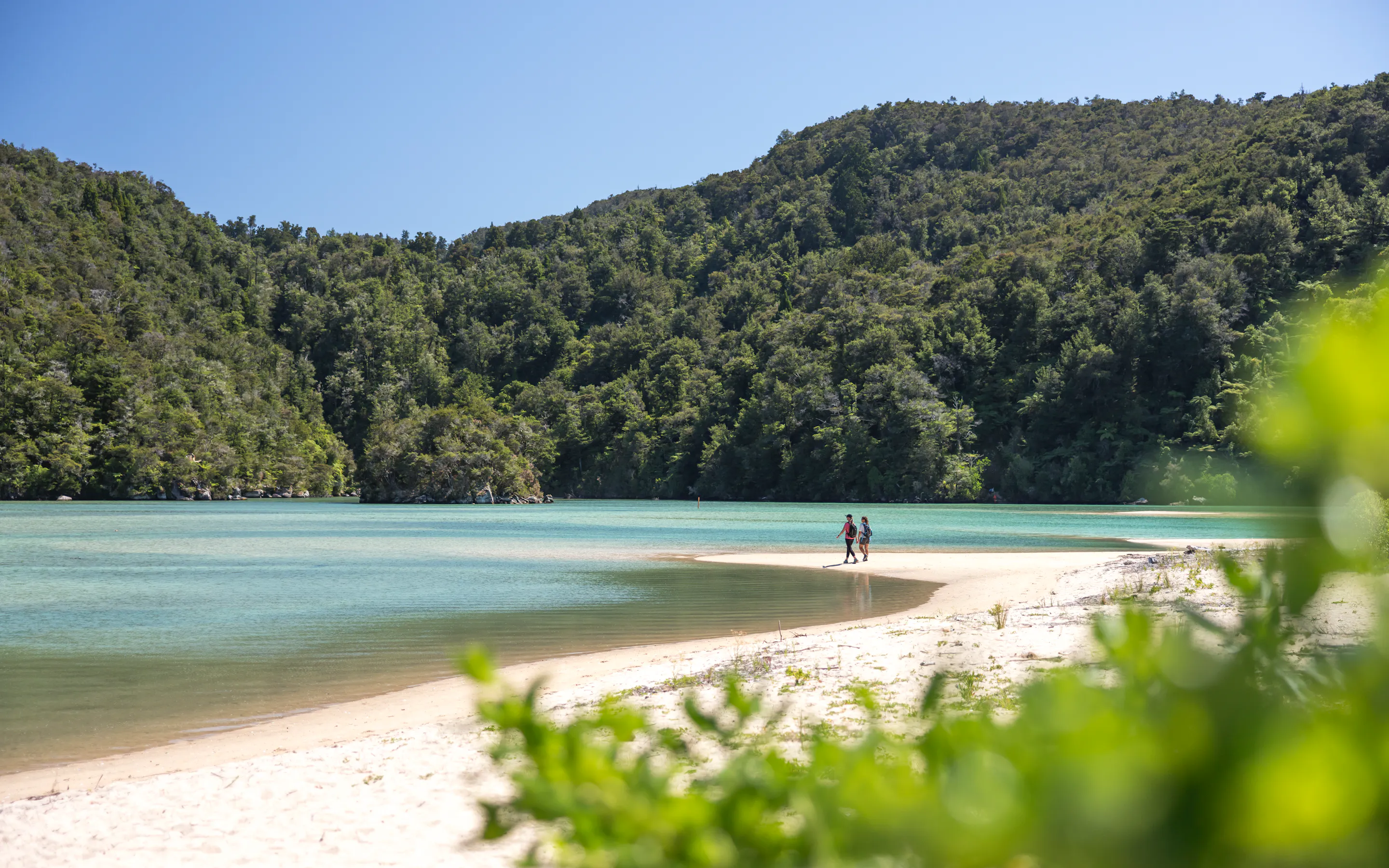 Two walkers cross a pale sand spit beside turquoise water, with dense native forest rising around the sheltered bay.