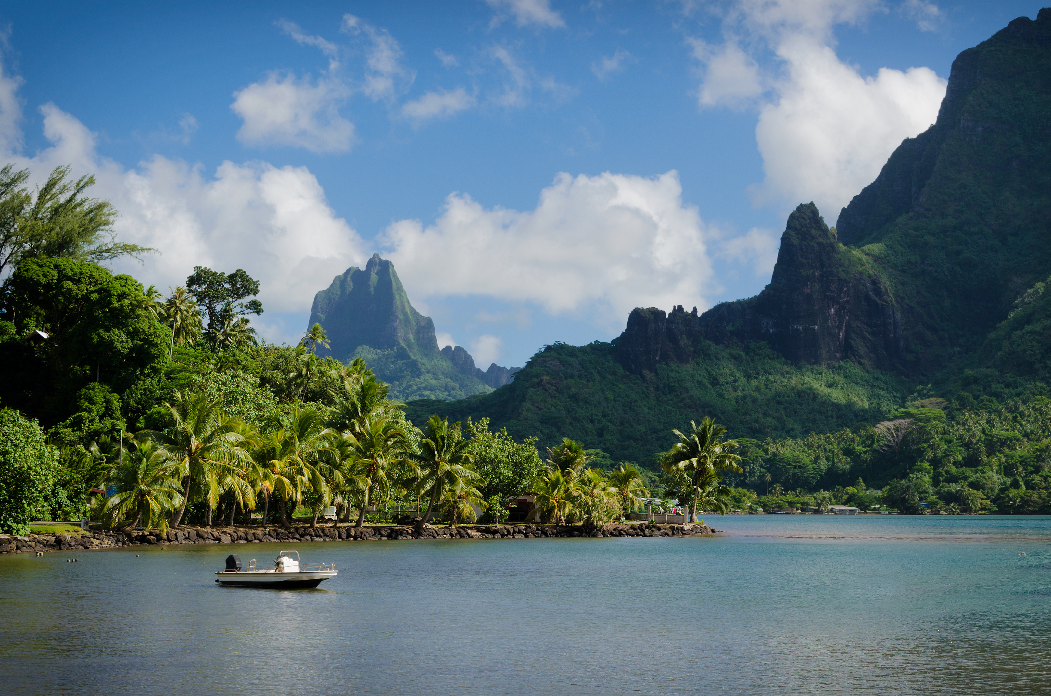 A small boat floats on calm bay water beneath jagged green peaks, with dense tropical forest covering the slopes.