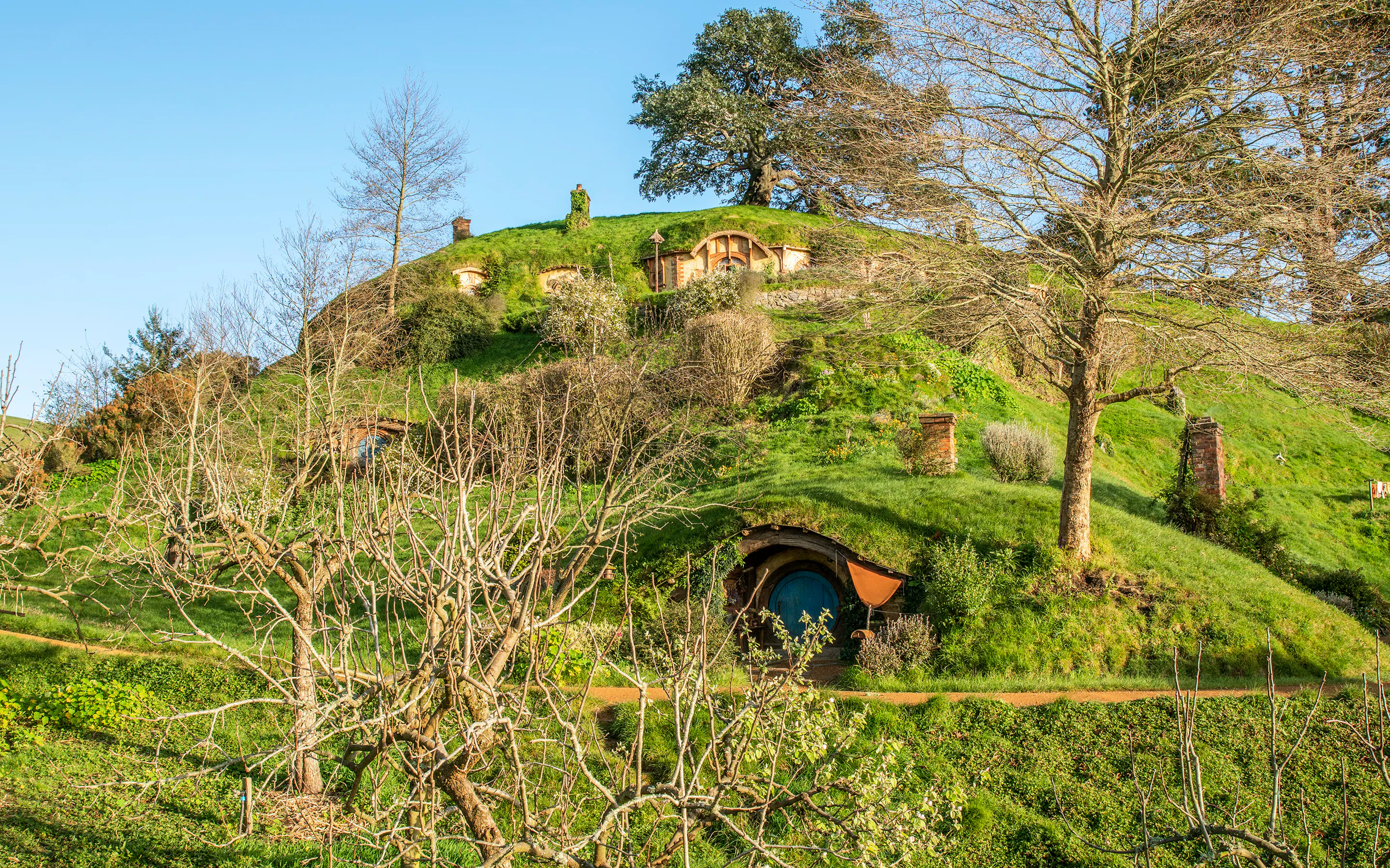A grassy hillside dotted with round Hobbiton doors and winding garden paths rises beneath bare trees in Waikato.