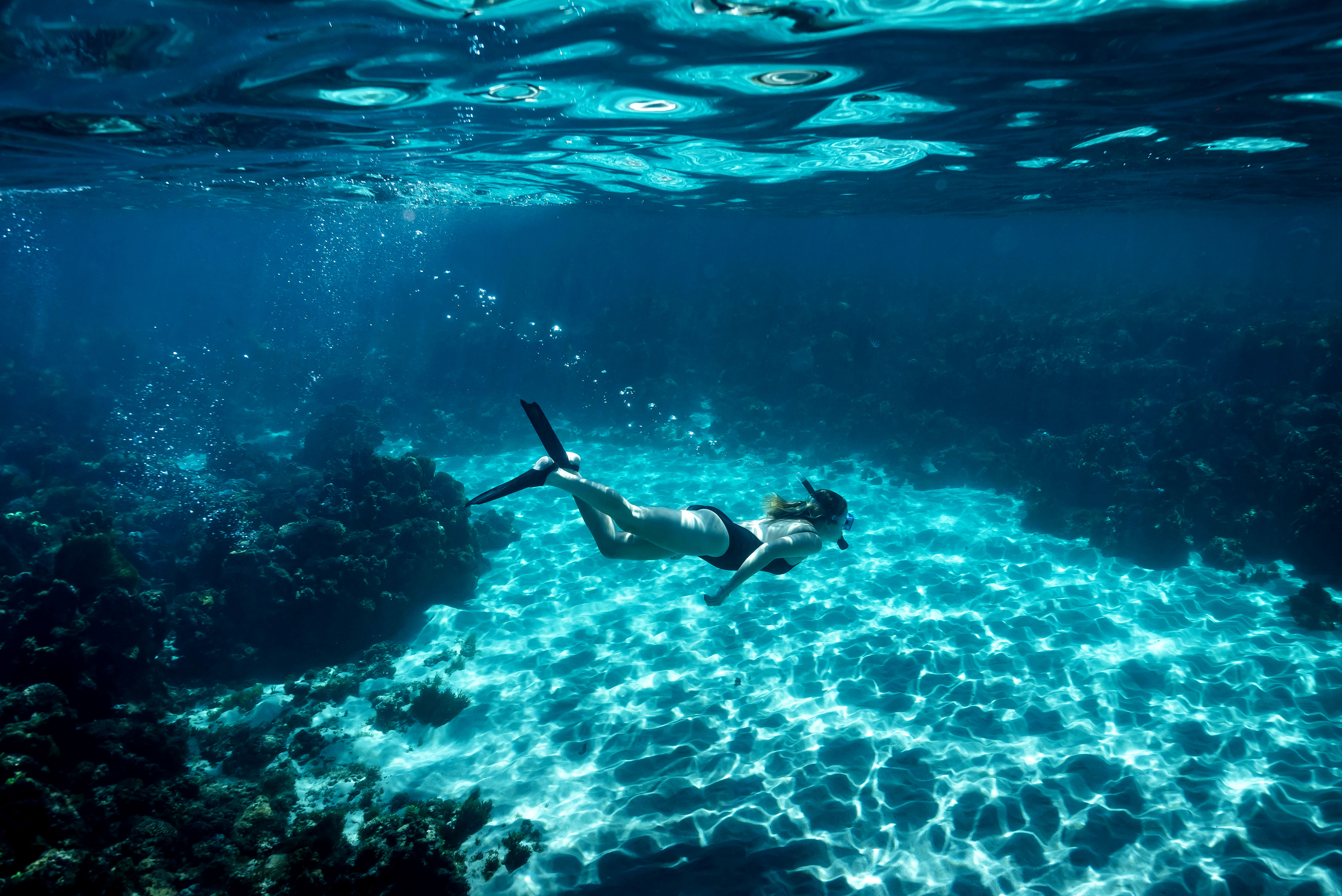 A snorkeler glides above bright sand and coral in clear blue water off Lord Howe Island's reef lagoon at midday.