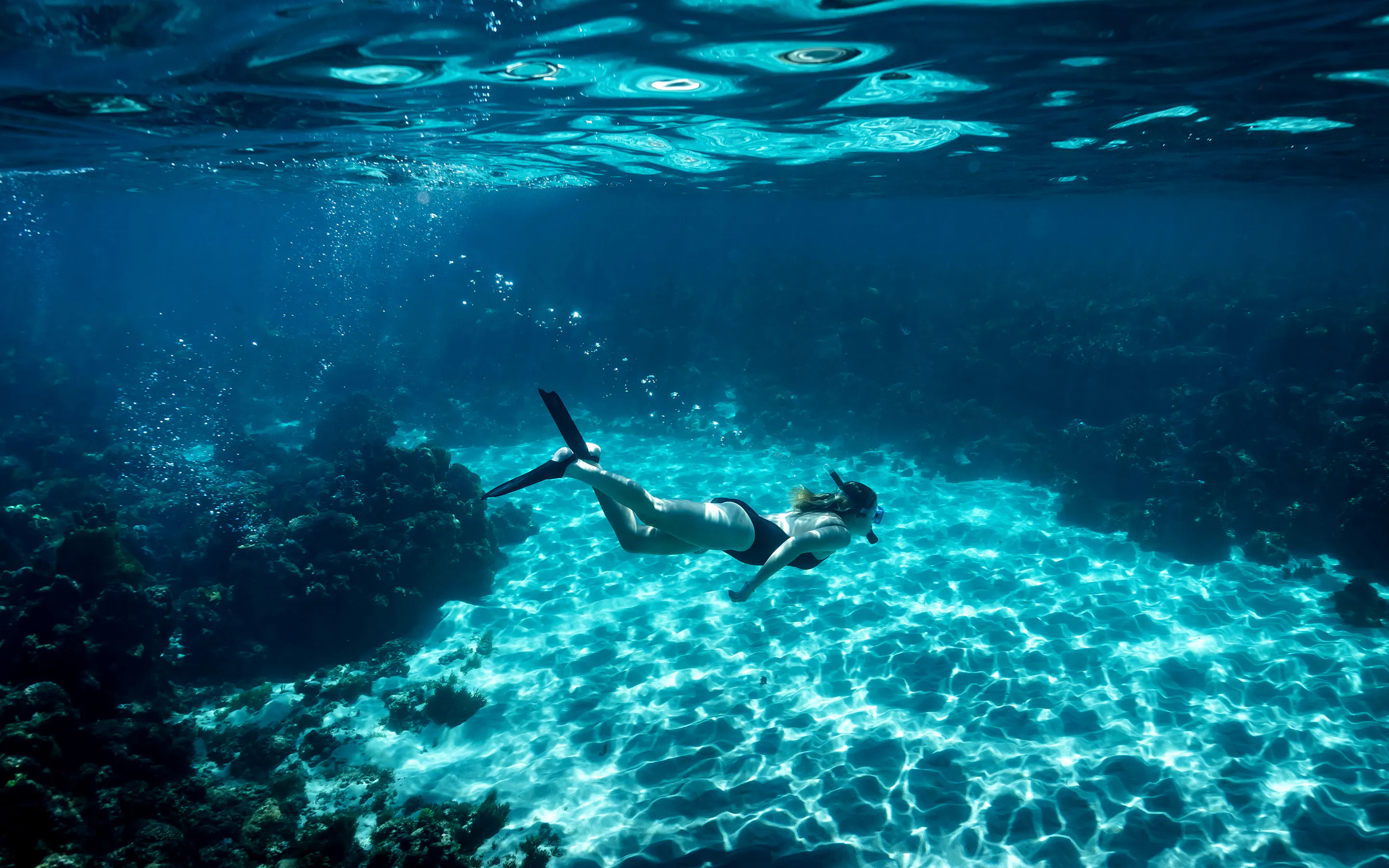 A snorkeler glides above bright sand and coral in clear blue water off Lord Howe Island's reef lagoon at midday.
