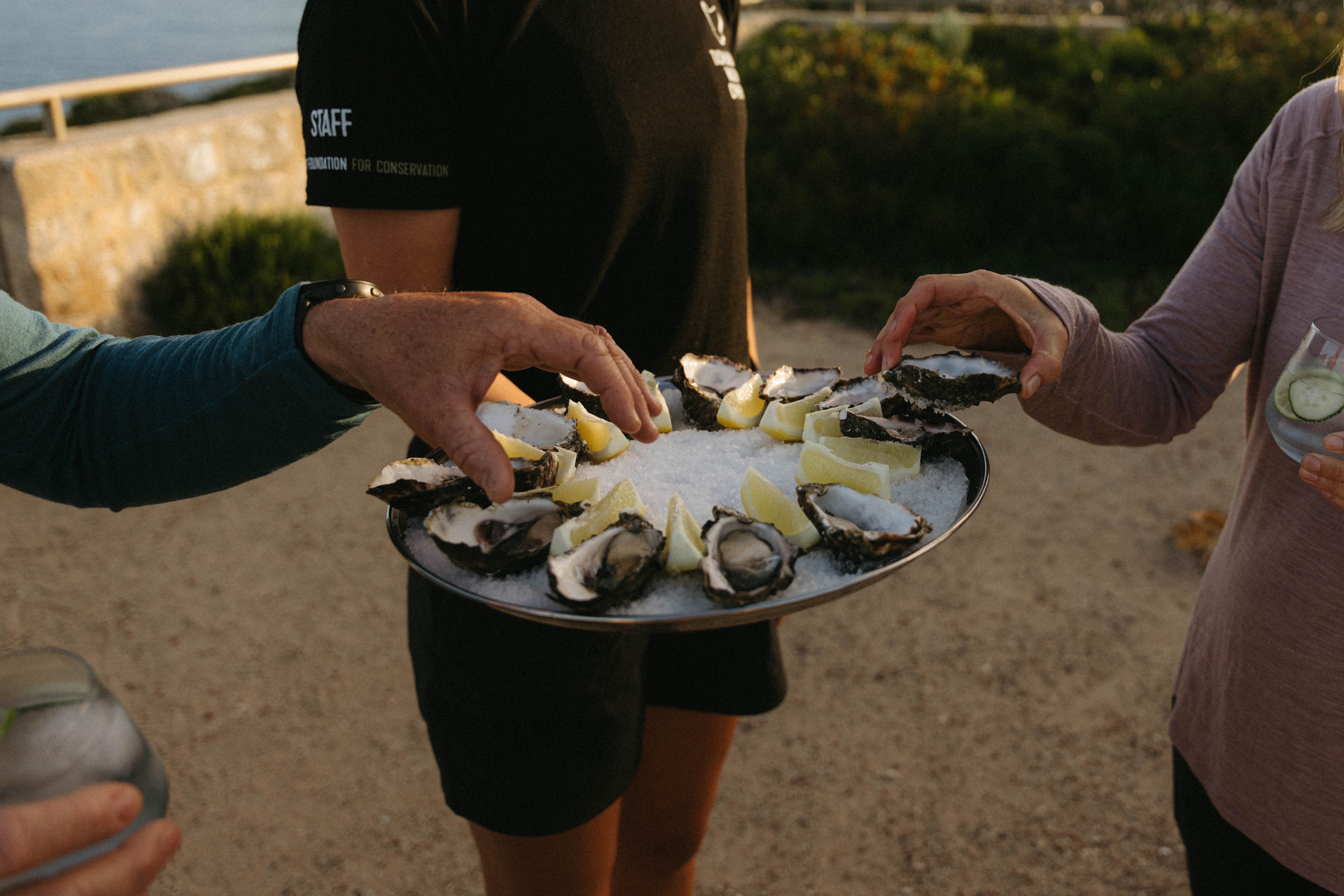 Hands reach for fresh oysters on ice with lemon wedges, while evening light falls across a sandy outdoor setting.