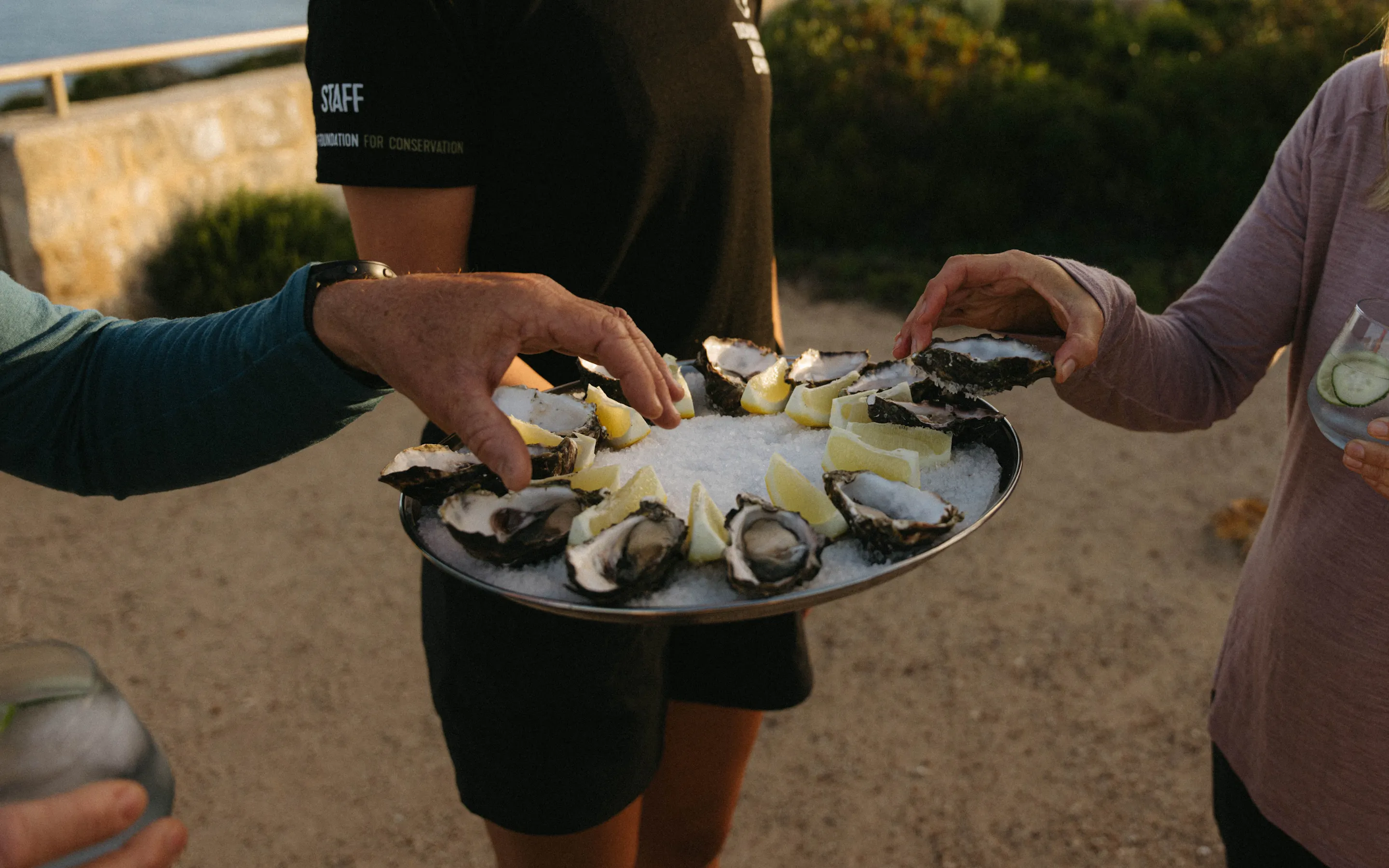 Hands reach for fresh oysters on ice with lemon wedges, while evening light falls across a sandy outdoor setting.