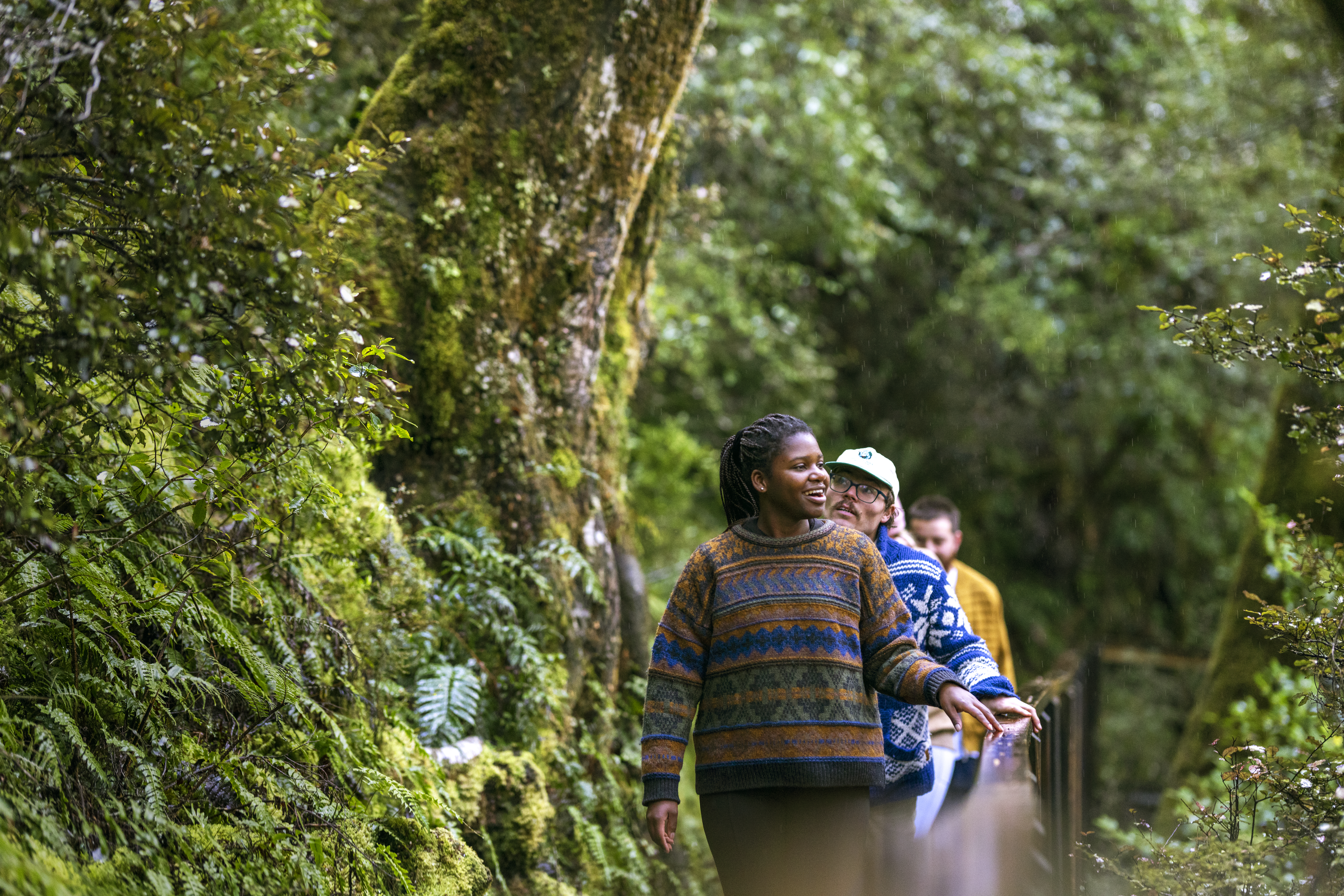 Three hikers follow a narrow forest path between mossy trees and dense ferns on a shaded slope near Wanaka.
