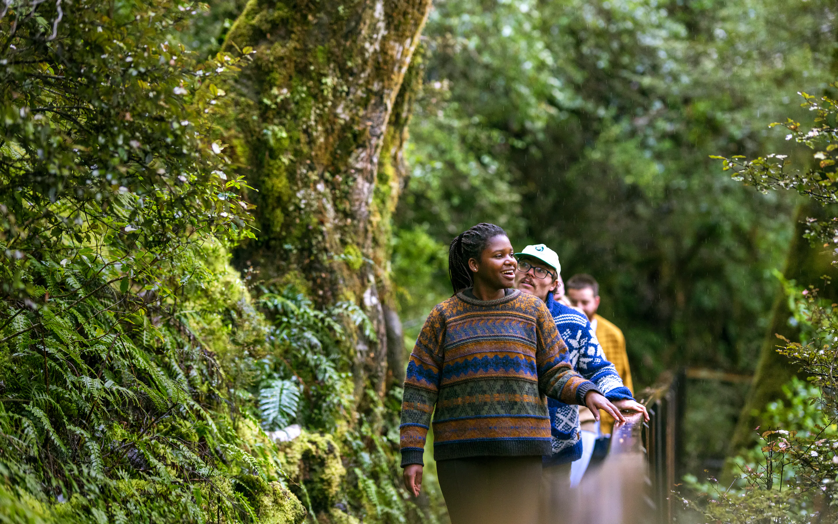 Three hikers follow a narrow forest path between mossy trees and dense ferns on a shaded slope near Wanaka.