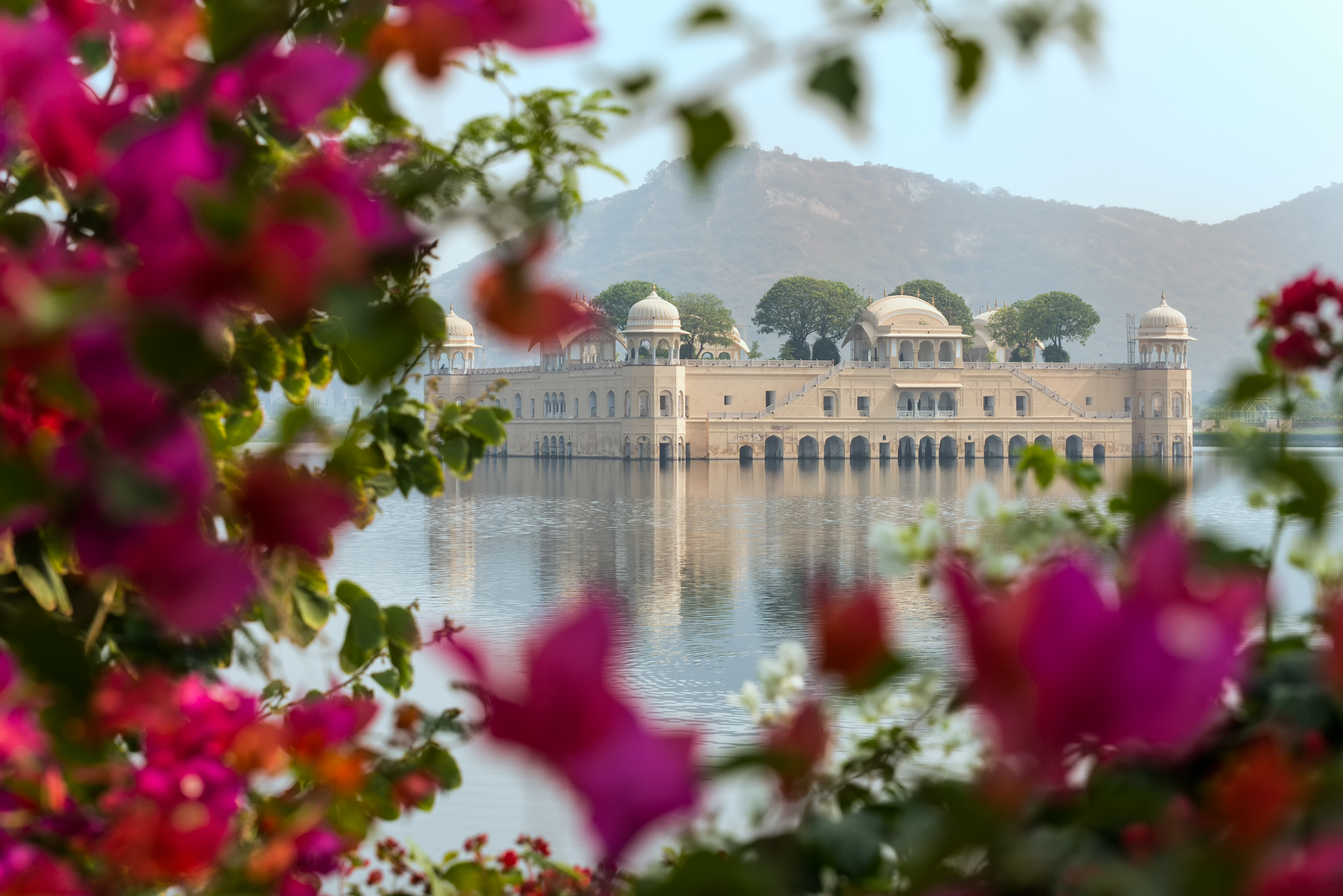View of Jal Mahal Palace in Jaipur with pink flowers in front