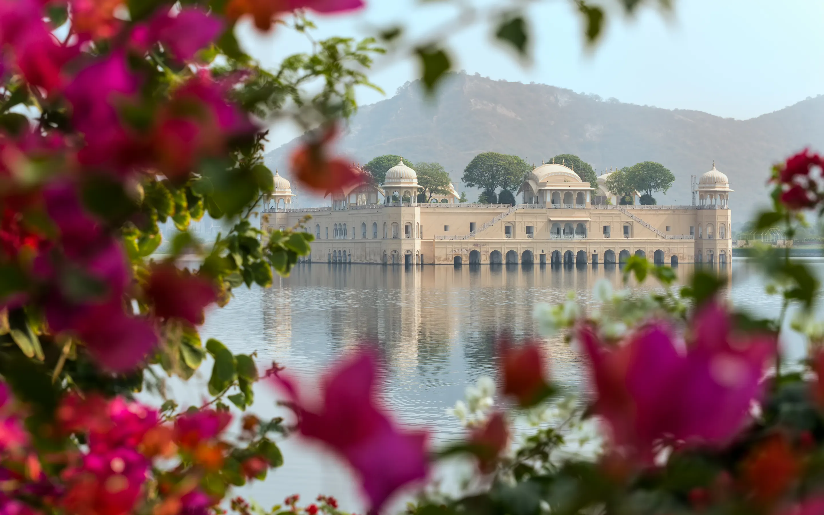 View of Jal Mahal Palace in Jaipur with pink flowers in front