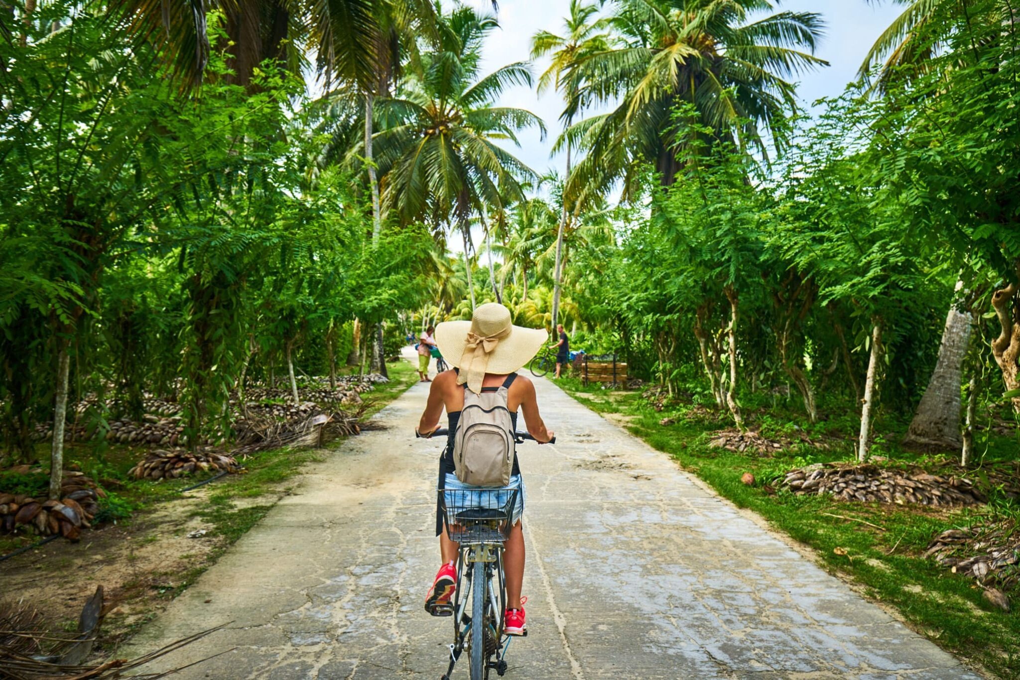 A cyclist rides along a quiet road lined with palms and dense tropical greenery on La Digue in the Seychelles.