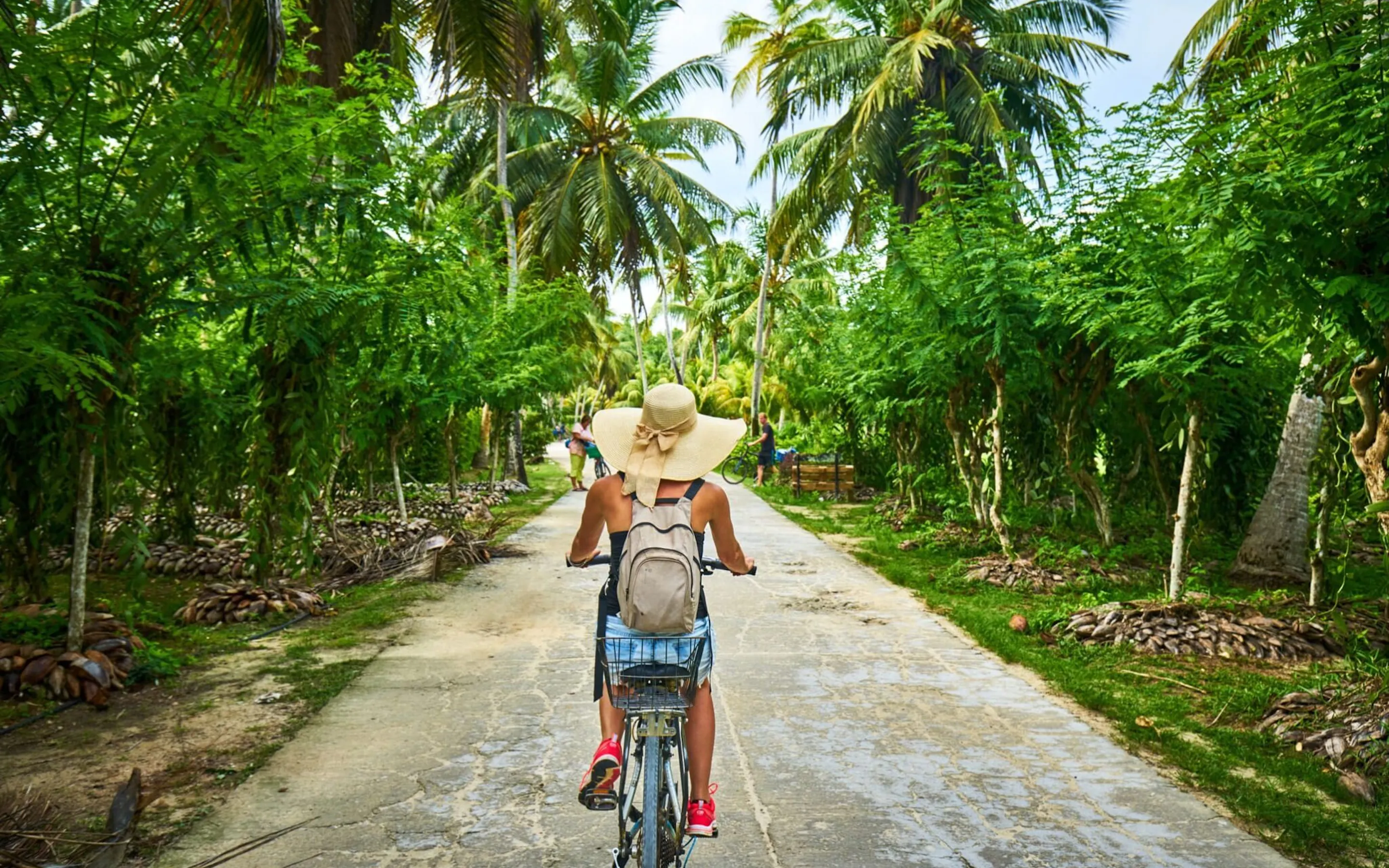 A cyclist rides along a quiet road lined with palms and dense tropical greenery on La Digue in the Seychelles.