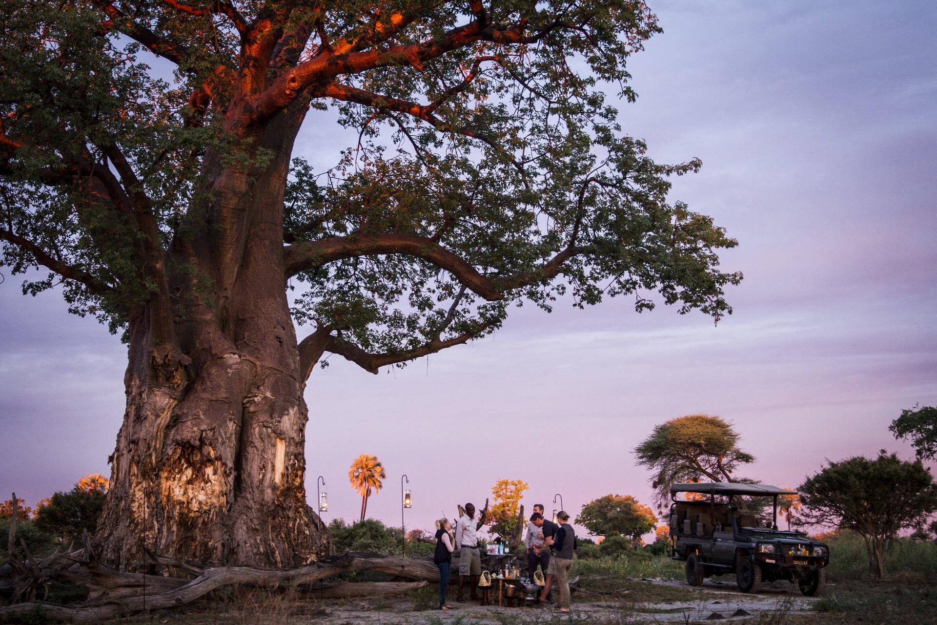 A small group gathers beneath a massive baobab at dusk, with lanterns and a safari vehicle nearby in Botswana.