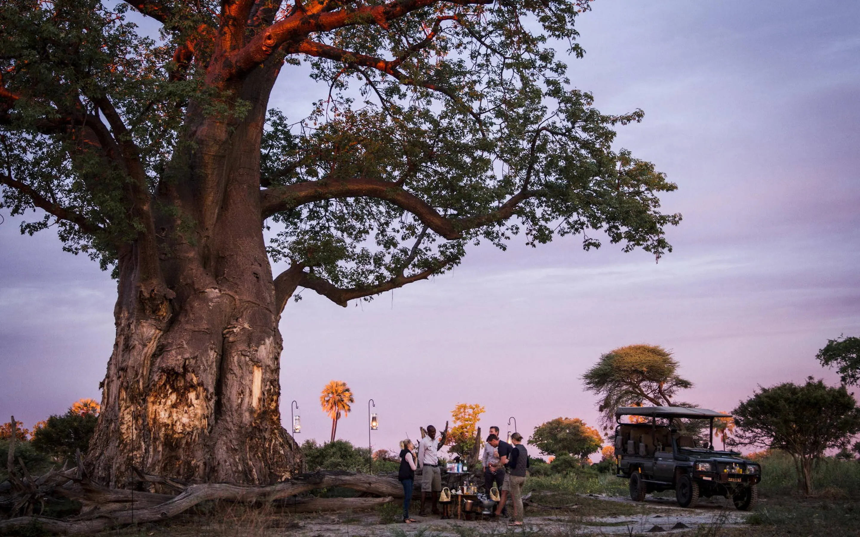 A small group gathers beneath a massive baobab at dusk, with lanterns and a safari vehicle nearby in Botswana.
