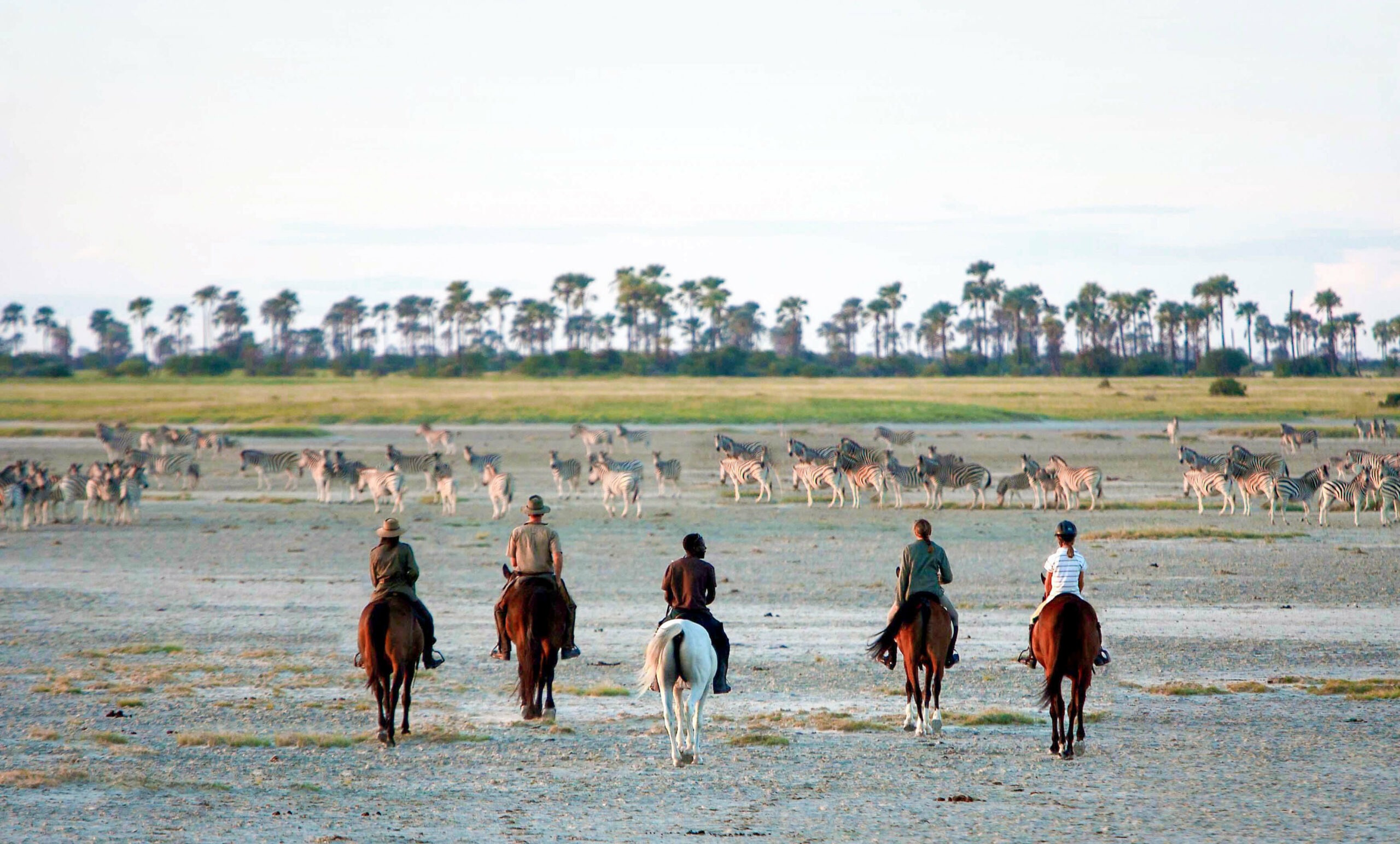 Five riders on horseback cross open salt flats toward a broad spread of zebras beneath a pale sky in Botswana.