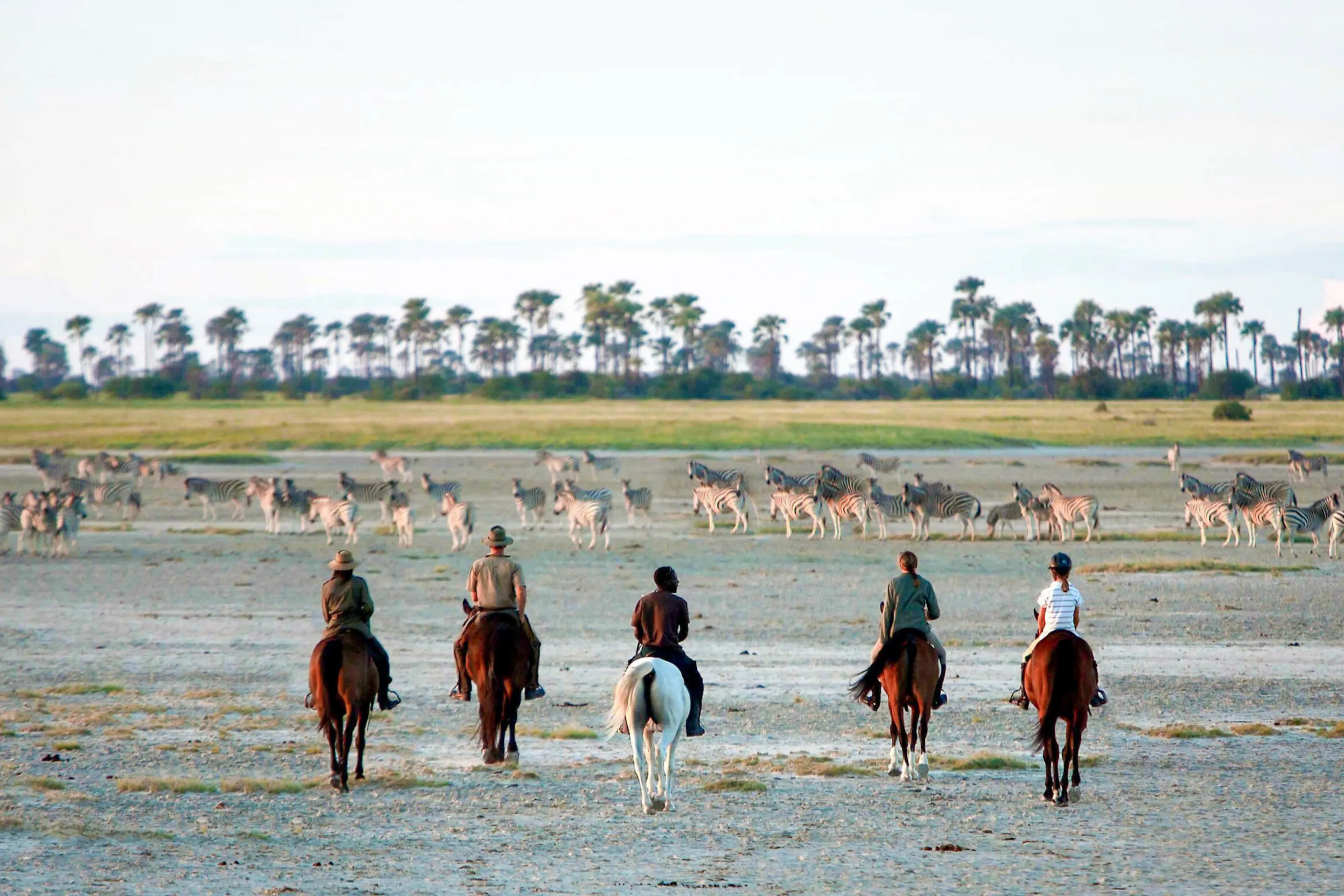 Five riders on horseback cross open salt flats toward a broad spread of zebras beneath a pale sky in Botswana.