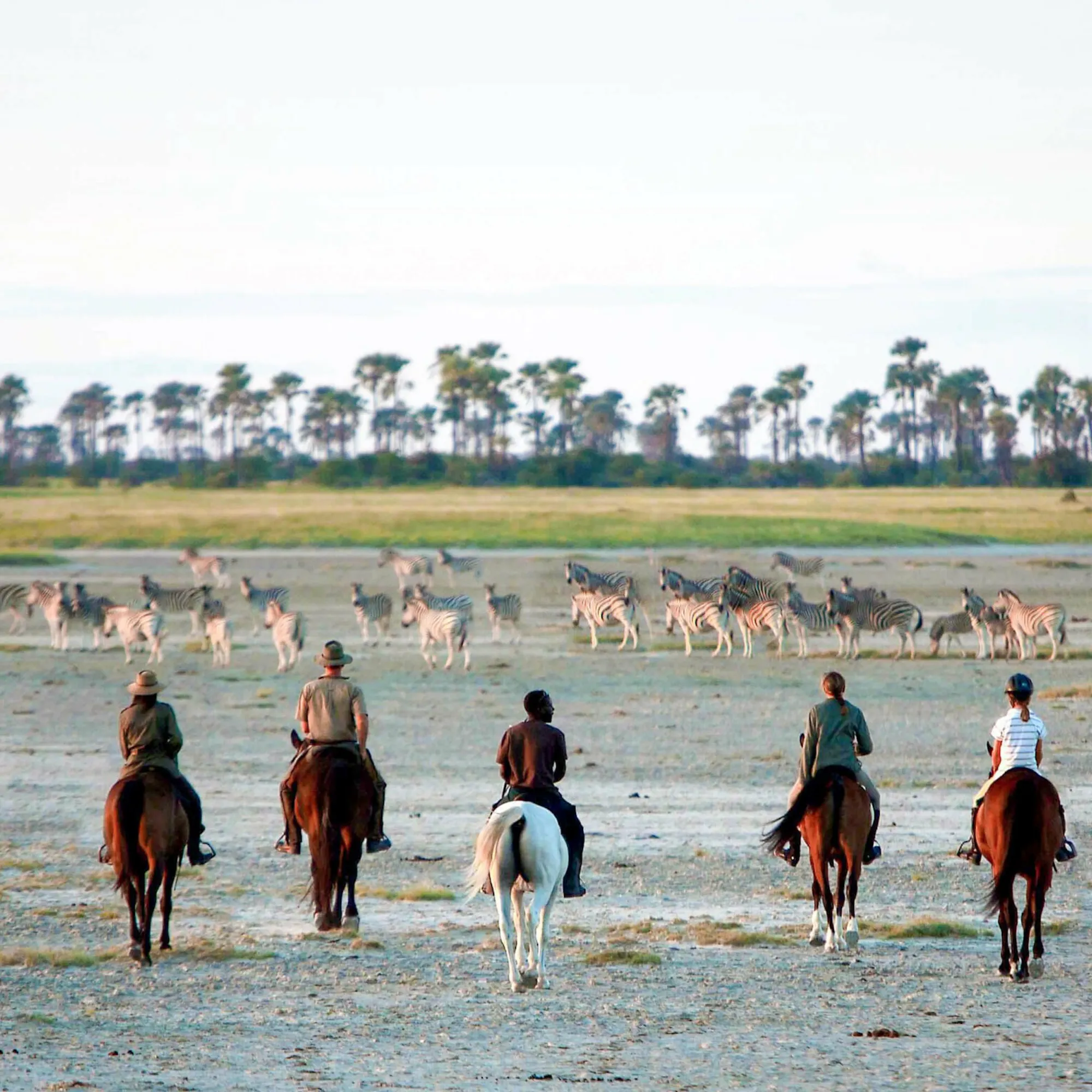 Five riders on horseback cross open salt flats toward a broad spread of zebras beneath a pale sky in Botswana.