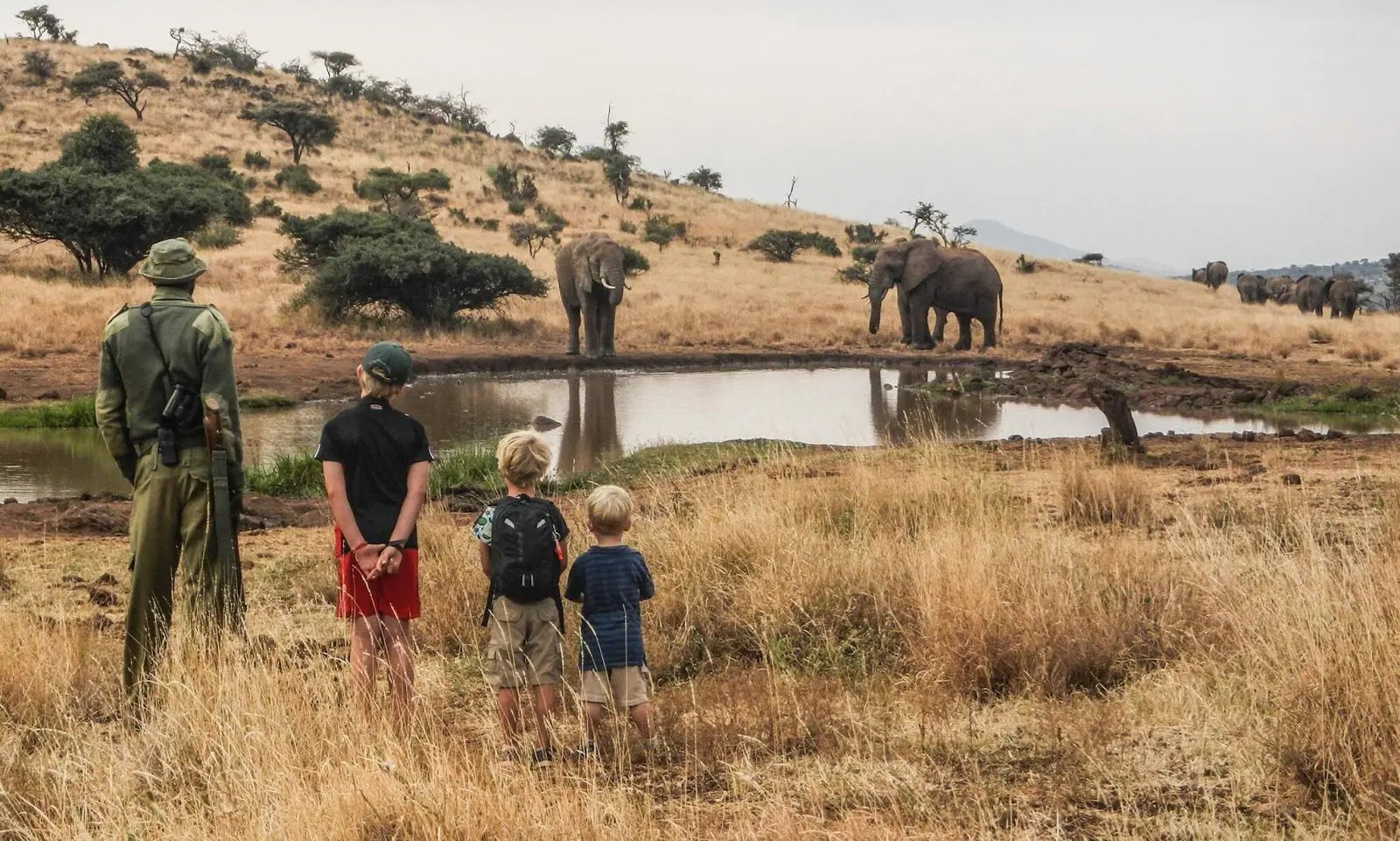 A safari guide and three children stand by a waterhole, watching elephants gather across a dry golden hillside.