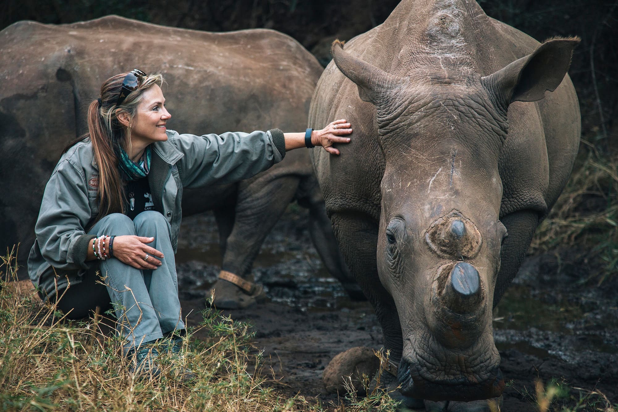 Petronel Nieuwoudt crouches beside a white rhino, resting a hand on its shoulder while another stands behind.