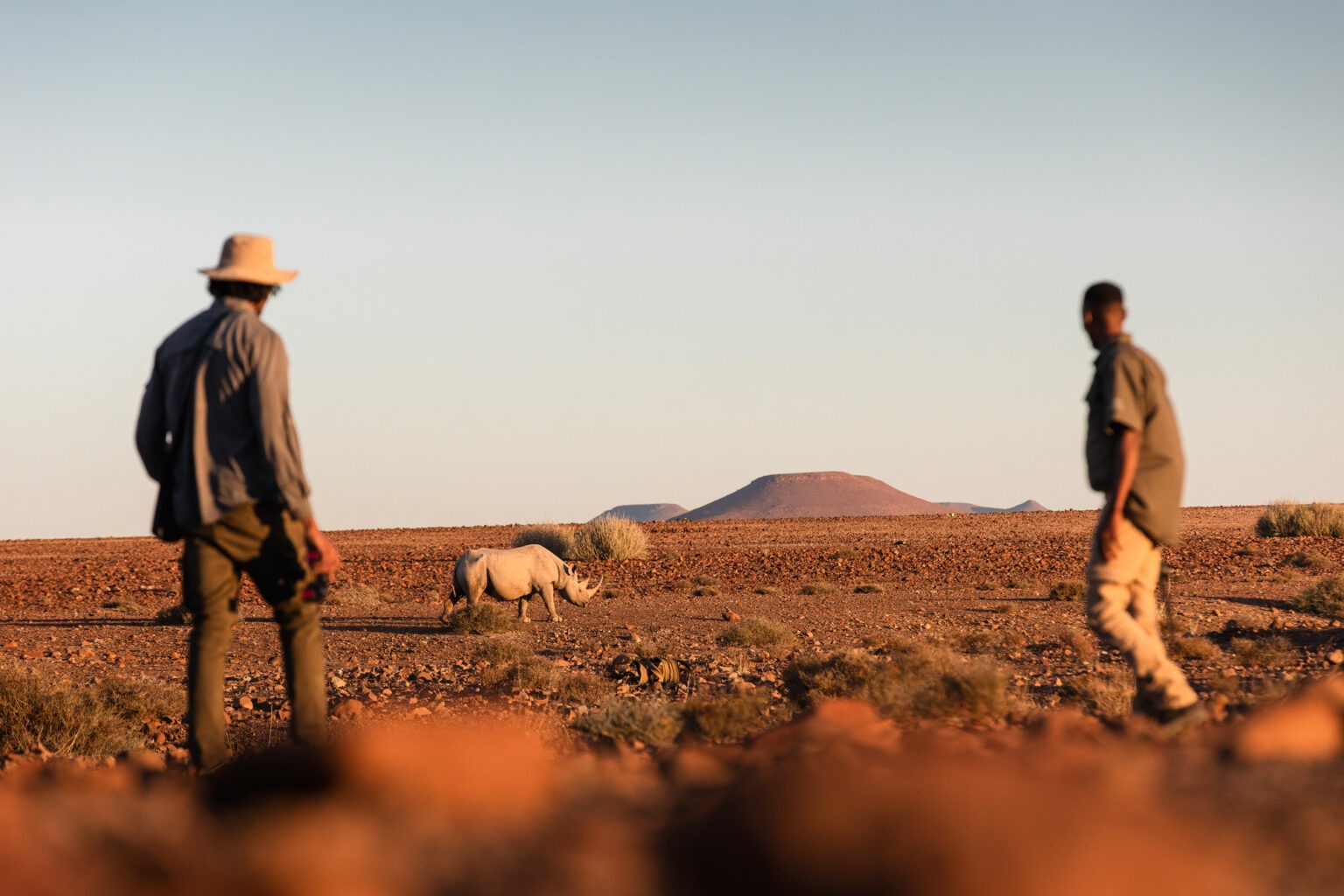 Guests walk with a guide across dry rocky terrain during a rhino-tracking safari at Desert Rhino Camp in Namibia.