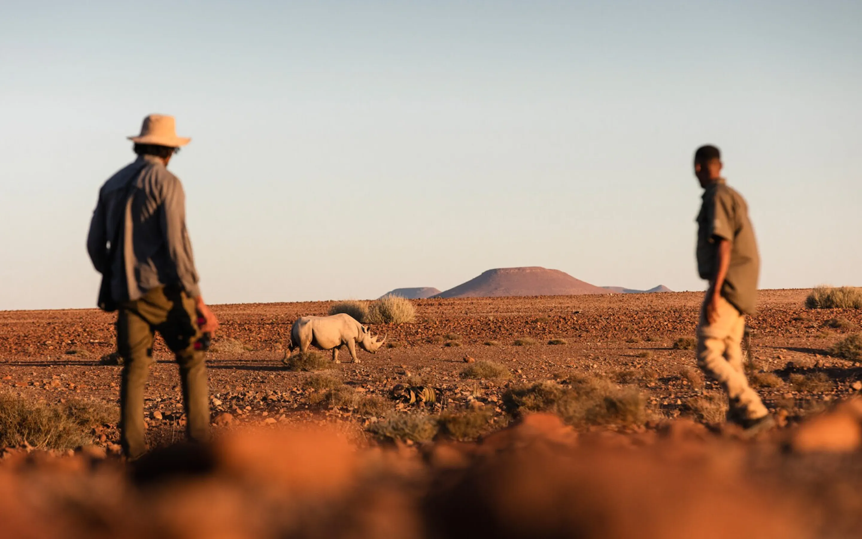 Guests walk with a guide across dry rocky terrain during a rhino-tracking safari at Desert Rhino Camp in Namibia.
