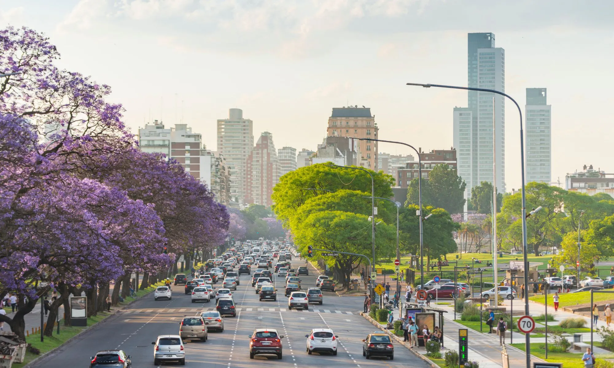 Traffic moves along a Buenos Aires avenue lined with purple jacaranda trees and high-rise buildings in spring.
