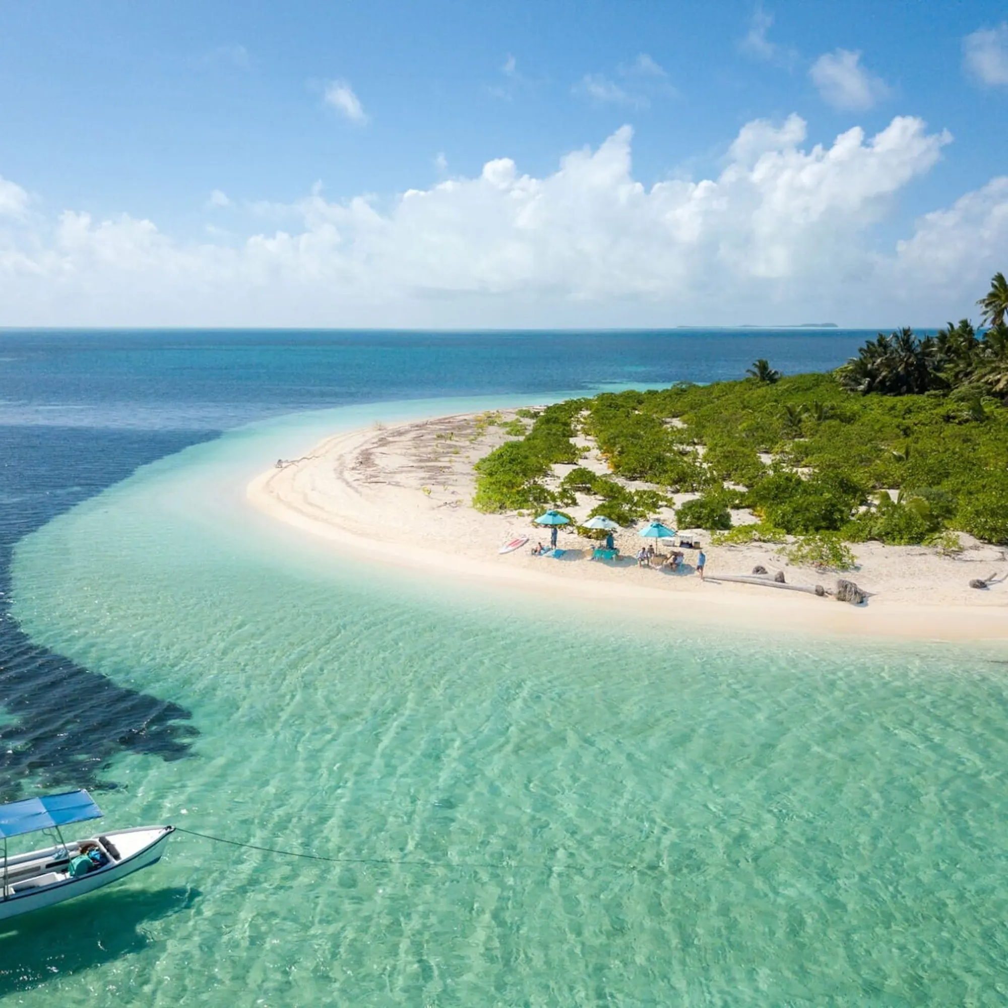 A boat floats beside shallow turquoise water and a white sandbank fringed with greenery near Alphonse Island.