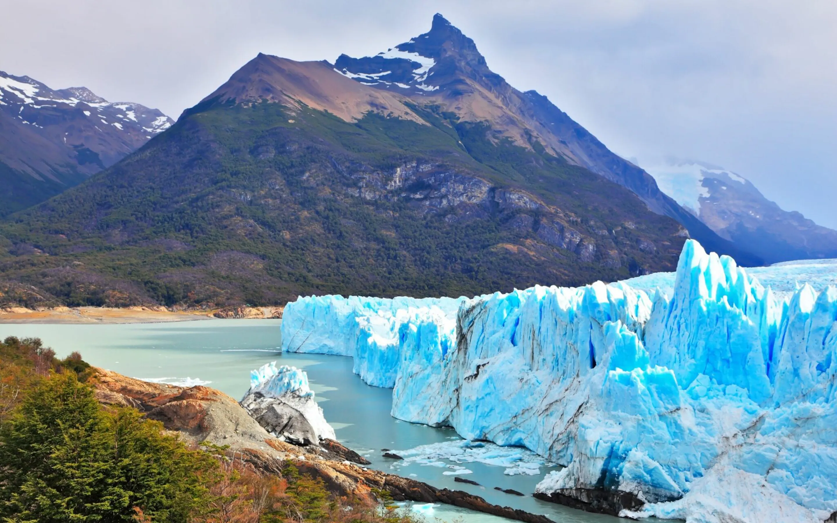 The blue face of Perito Moreno Glacier rises above a lake, framed by forest and dark peaks in Patagonia, Argentina.