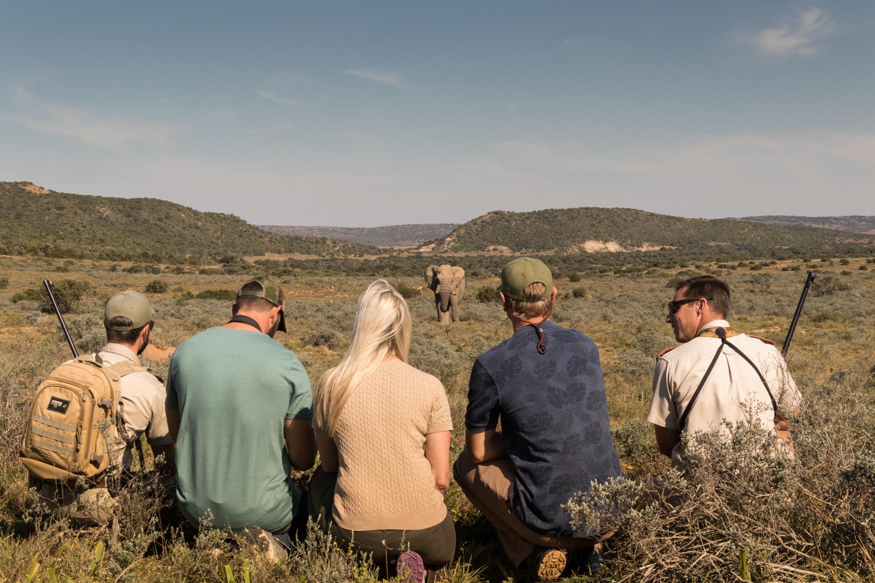 An elephant walks through tall dry grass as guests and a guide pause behind it on safari at Sindile in Shamwari.