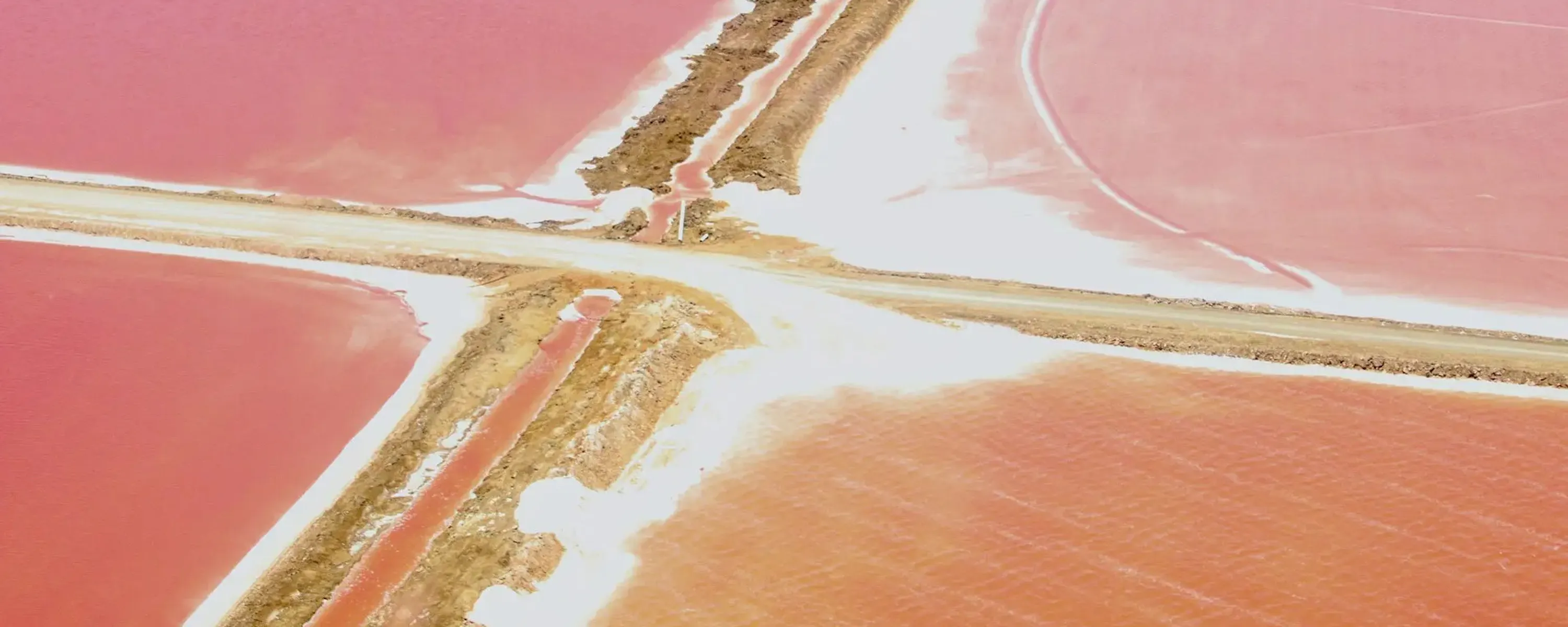 An aerial view shows pink salt pans divided by pale roads and embankments along Namibia's Atlantic coast.