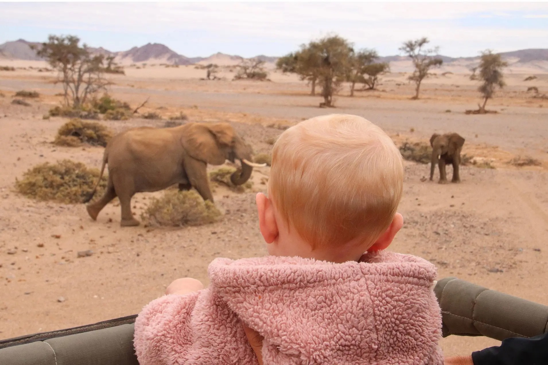 A child looks out from a safari vehicle as two elephants cross a sandy plain dotted with trees in Namibia.
