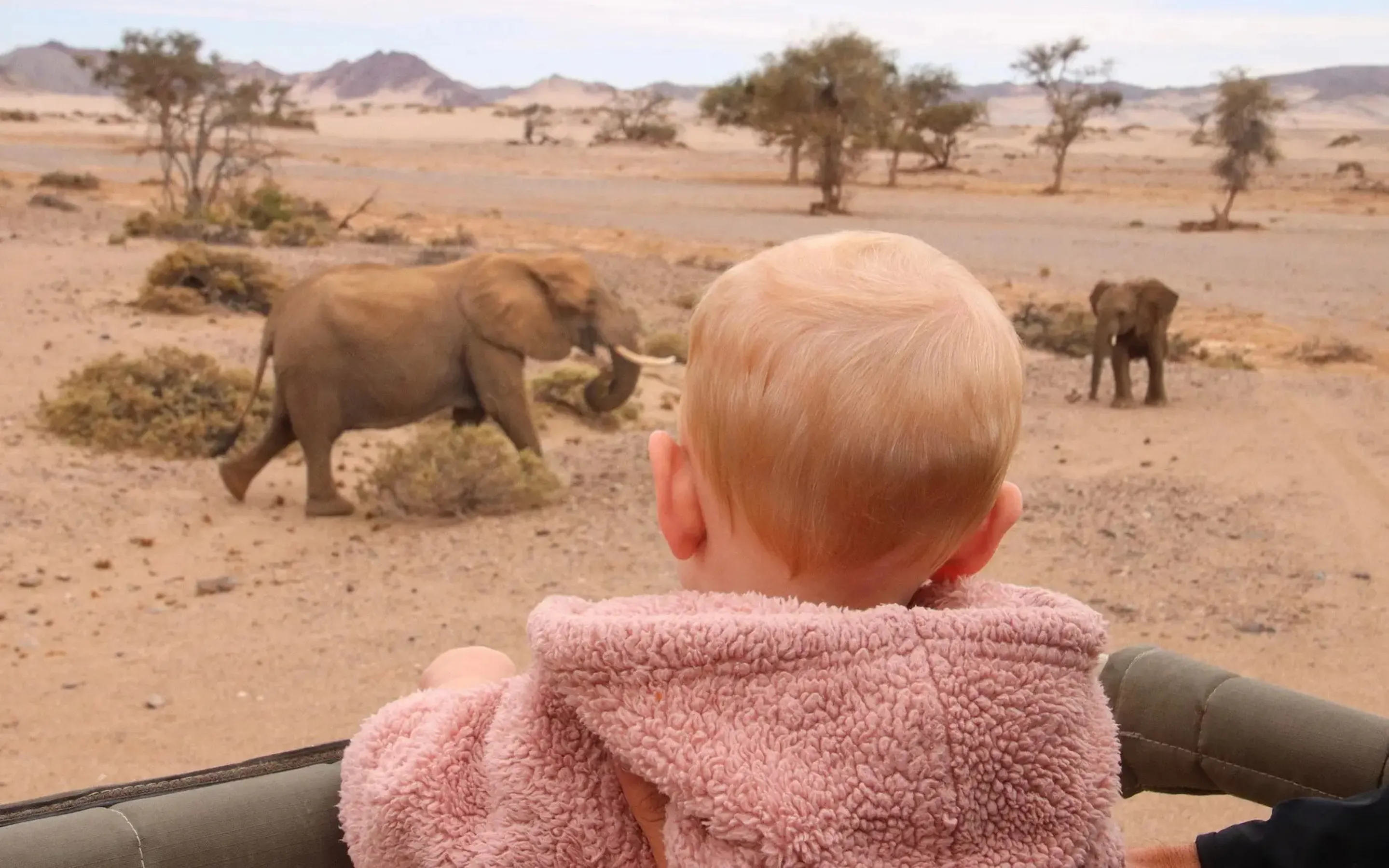 A child looks out from a safari vehicle as two elephants cross a sandy plain dotted with trees in Namibia.