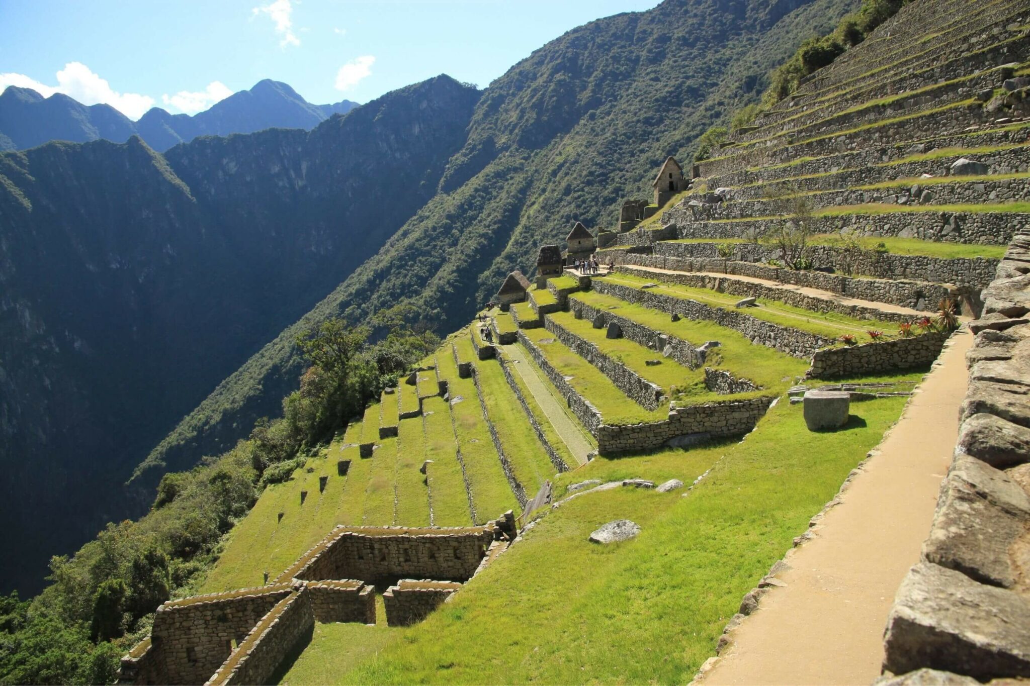 Stone terraces step down a steep mountainside at Machu Picchu, with green peaks rising through mist in Peru.