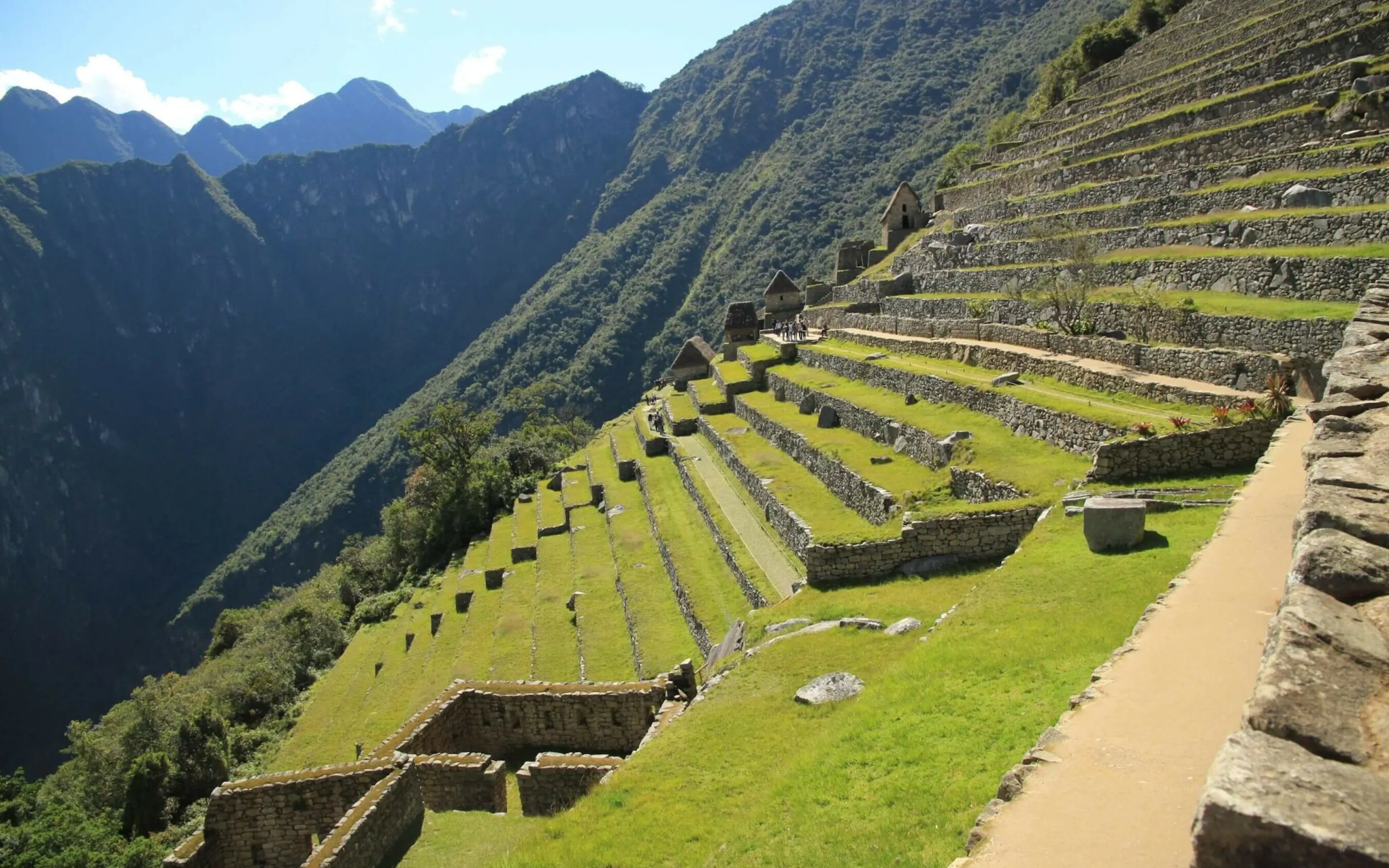 Stone terraces step down a steep mountainside at Machu Picchu, with green peaks rising through mist in Peru.