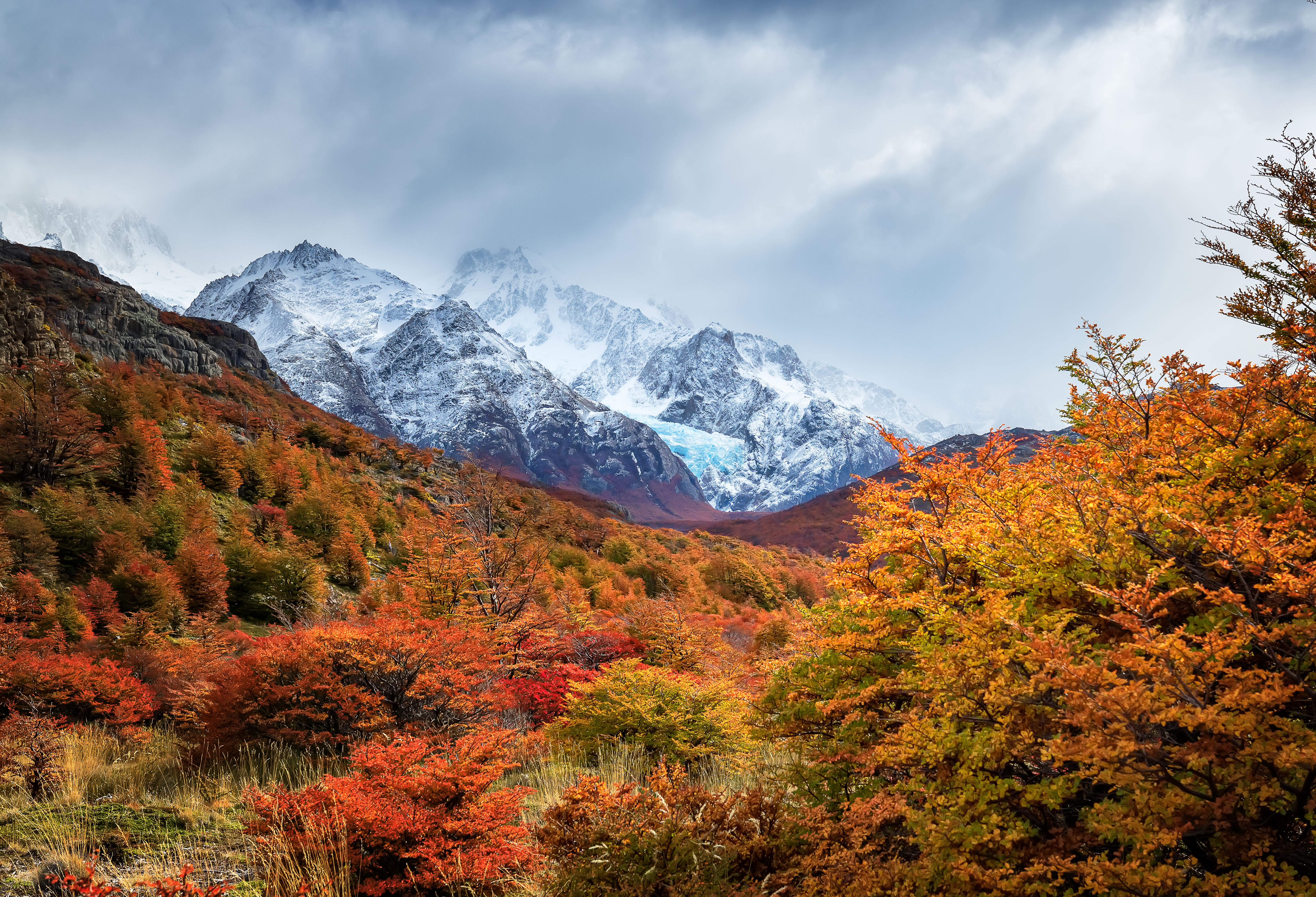 Vivid autumn foliage in red and orange surrounds snow-capped Patagonian peaks near El Calafate.
