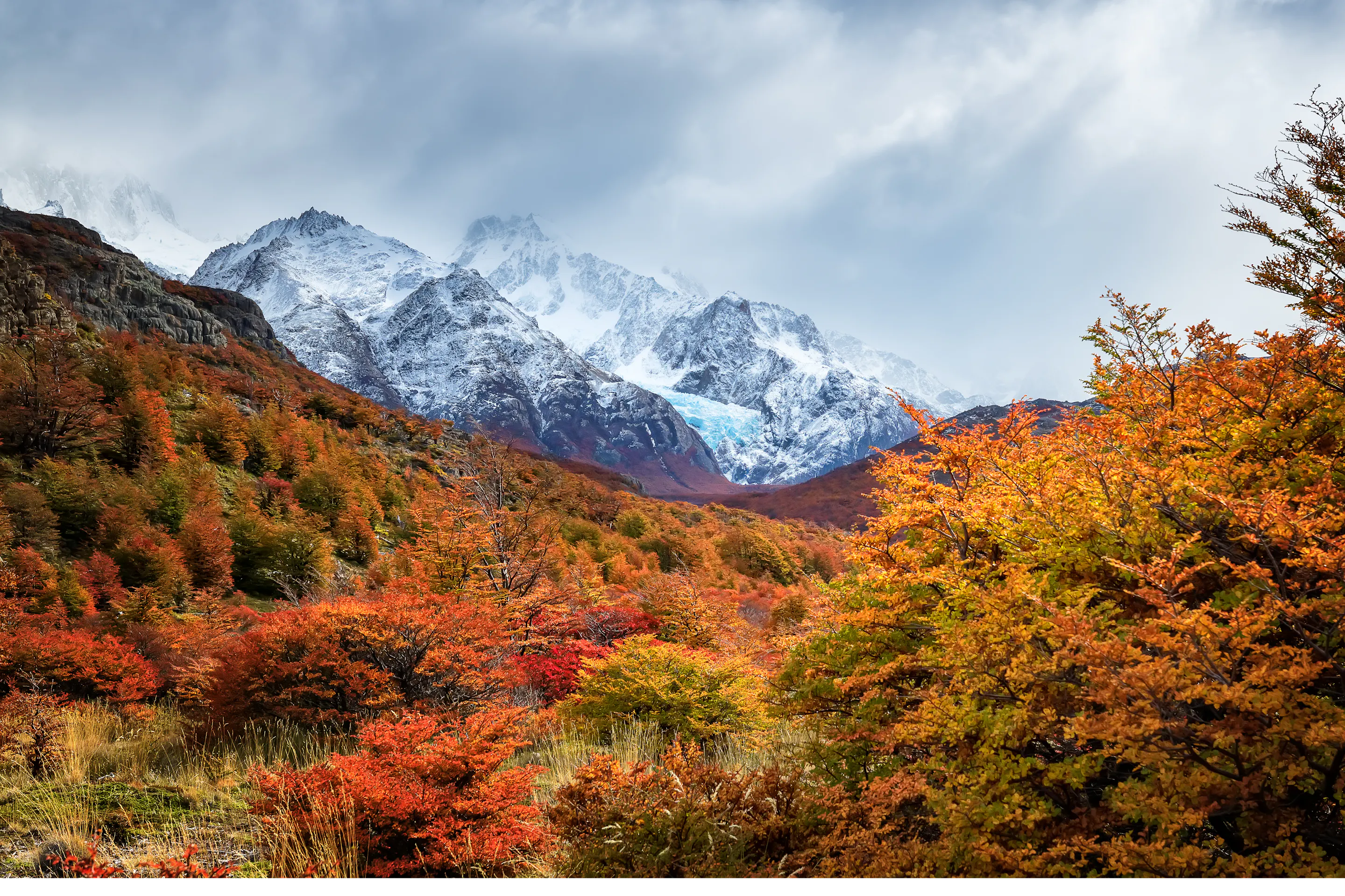 Vivid autumn foliage in red and orange surrounds snow-capped Patagonian peaks near El Calafate.