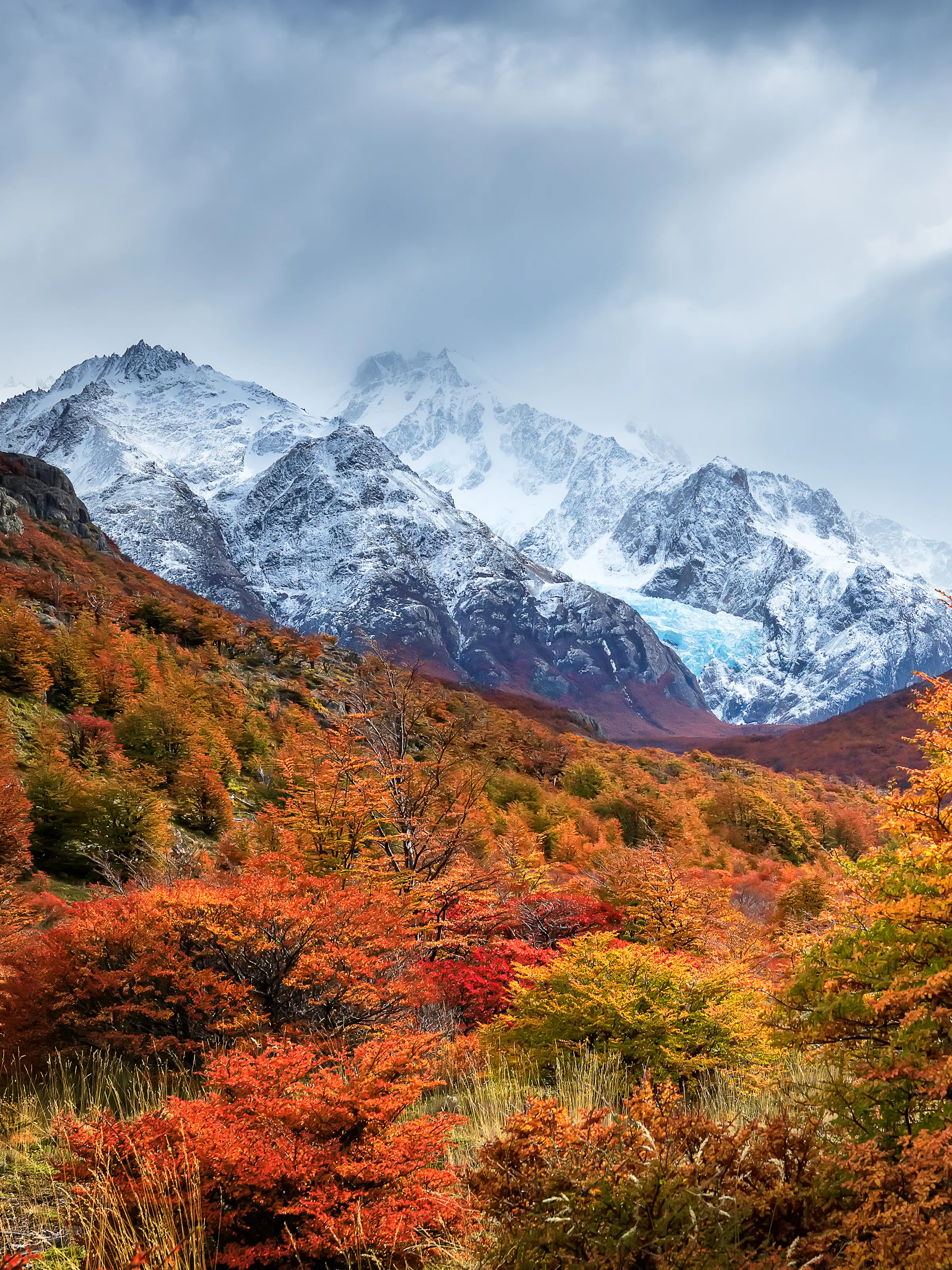 Vivid autumn foliage in red and orange surrounds snow-capped Patagonian peaks near El Calafate.