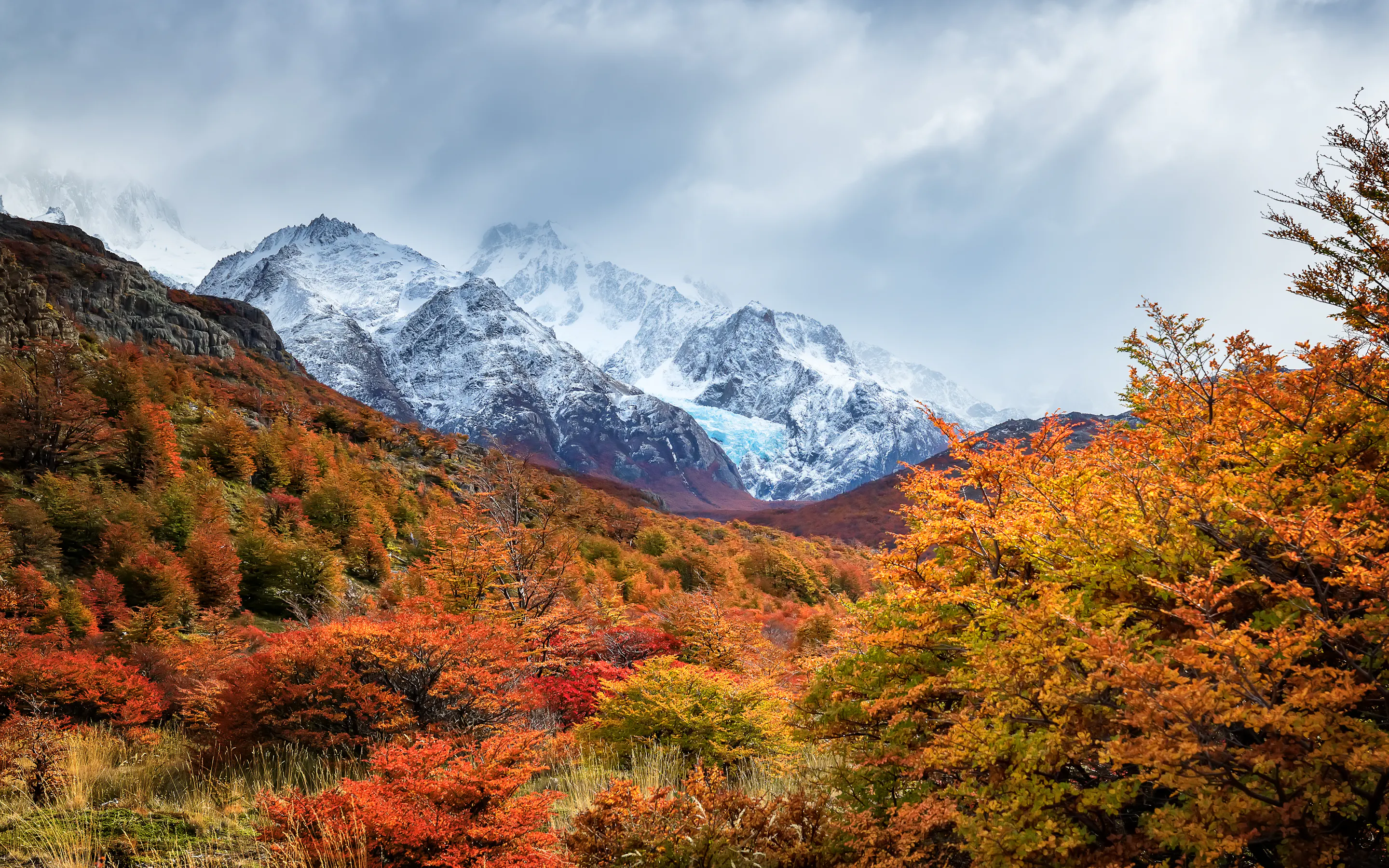 Vivid autumn foliage in red and orange surrounds snow-capped Patagonian peaks near El Calafate.
