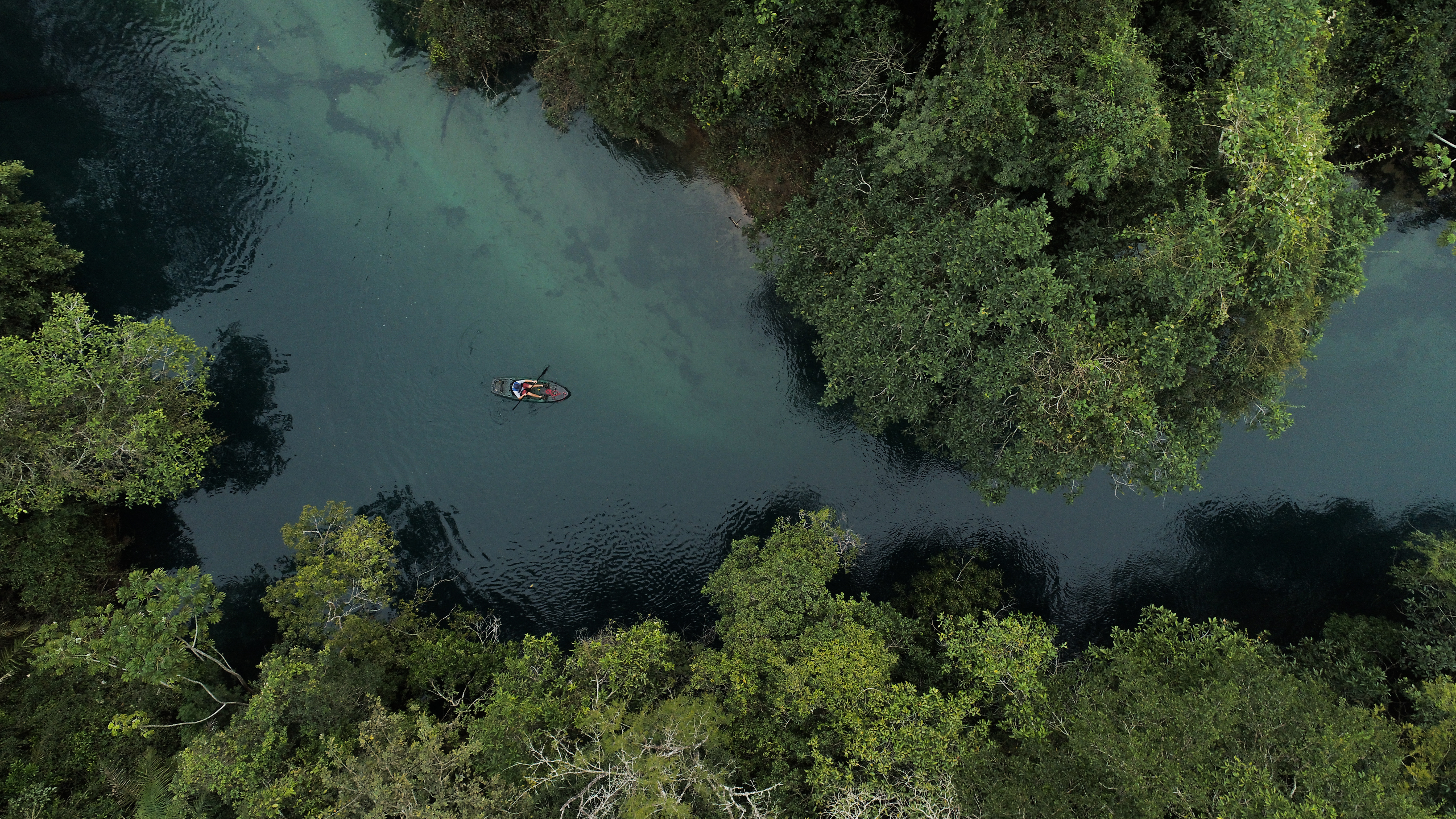 Aerial view of a winding dark river cutting through the flooded green wetlands of the Pantanal.