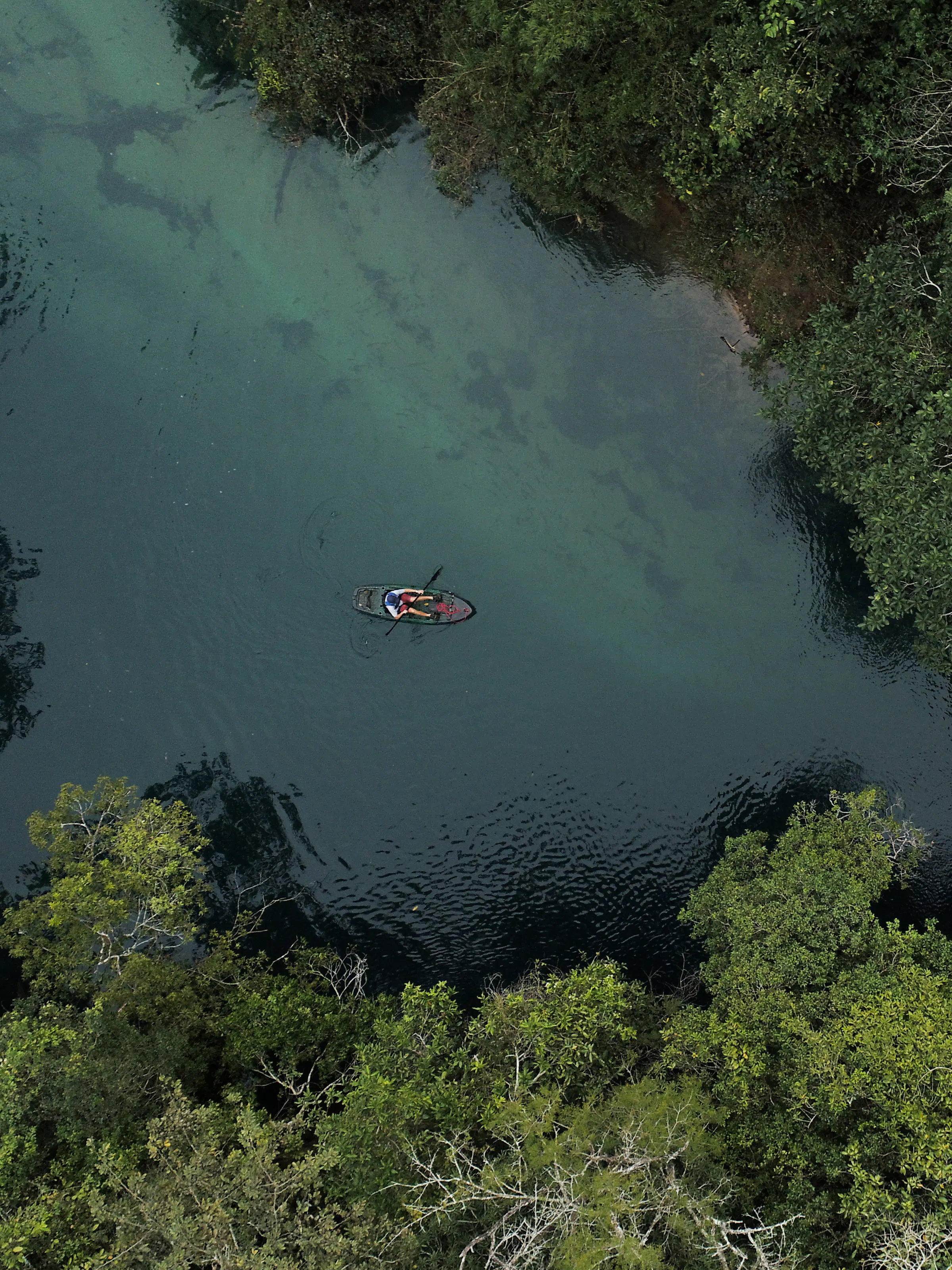 Aerial view of a winding dark river cutting through the flooded green wetlands of the Pantanal.