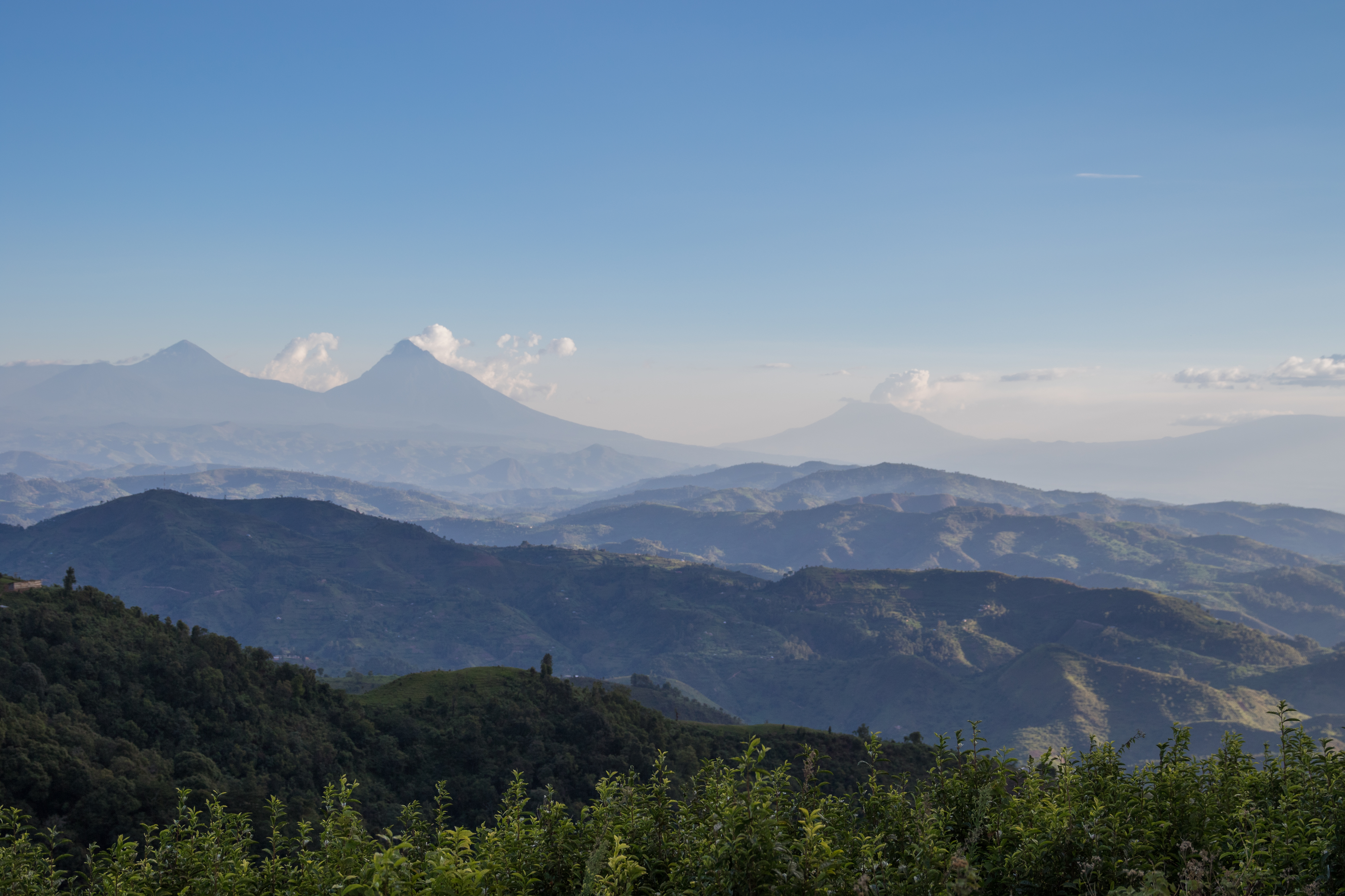 Layers of mist-covered forested hills stretch across Bwindi Impenetrable Forest in western Uganda.