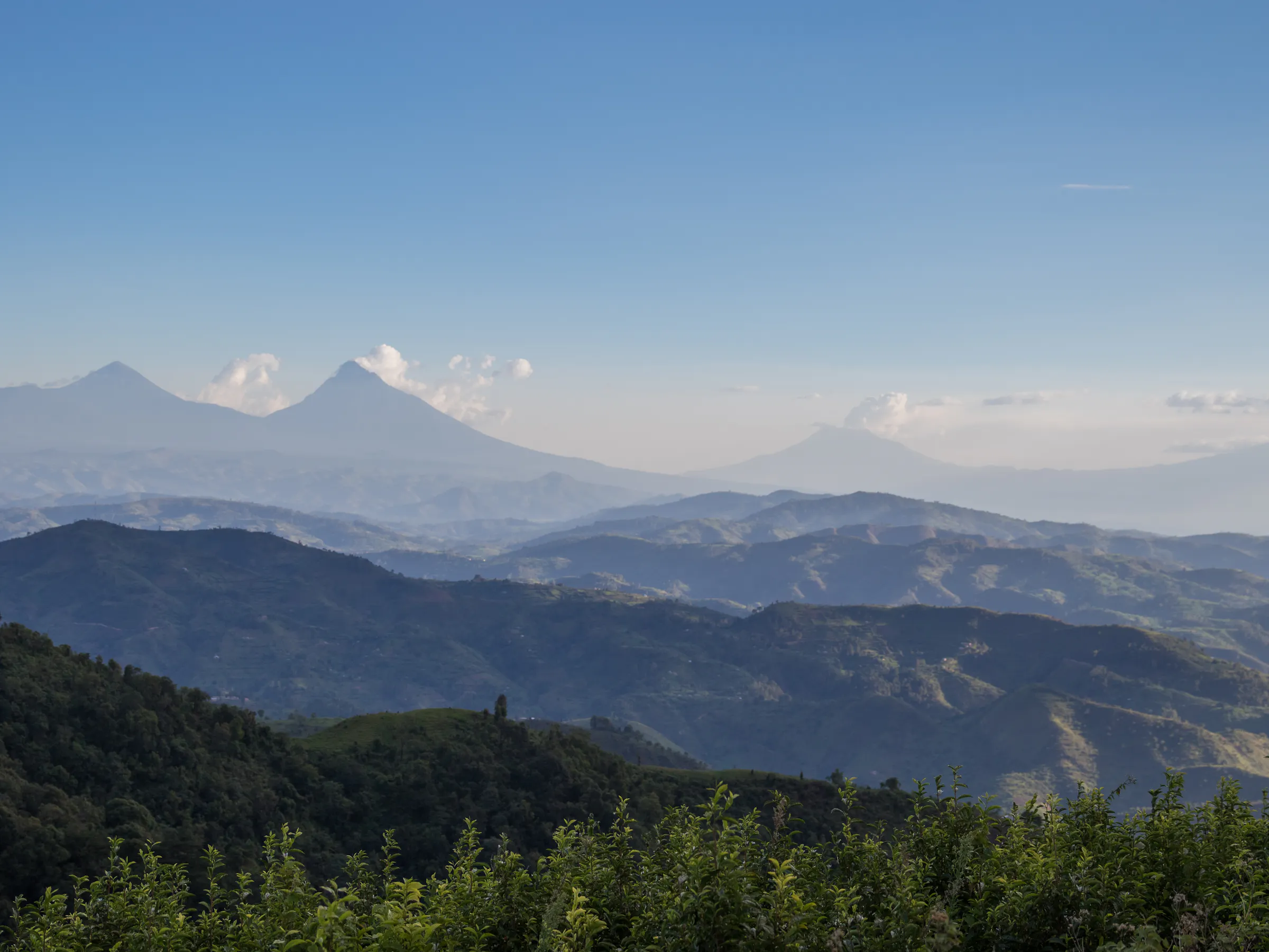 Layers of mist-covered forested hills stretch across Bwindi Impenetrable Forest in western Uganda.