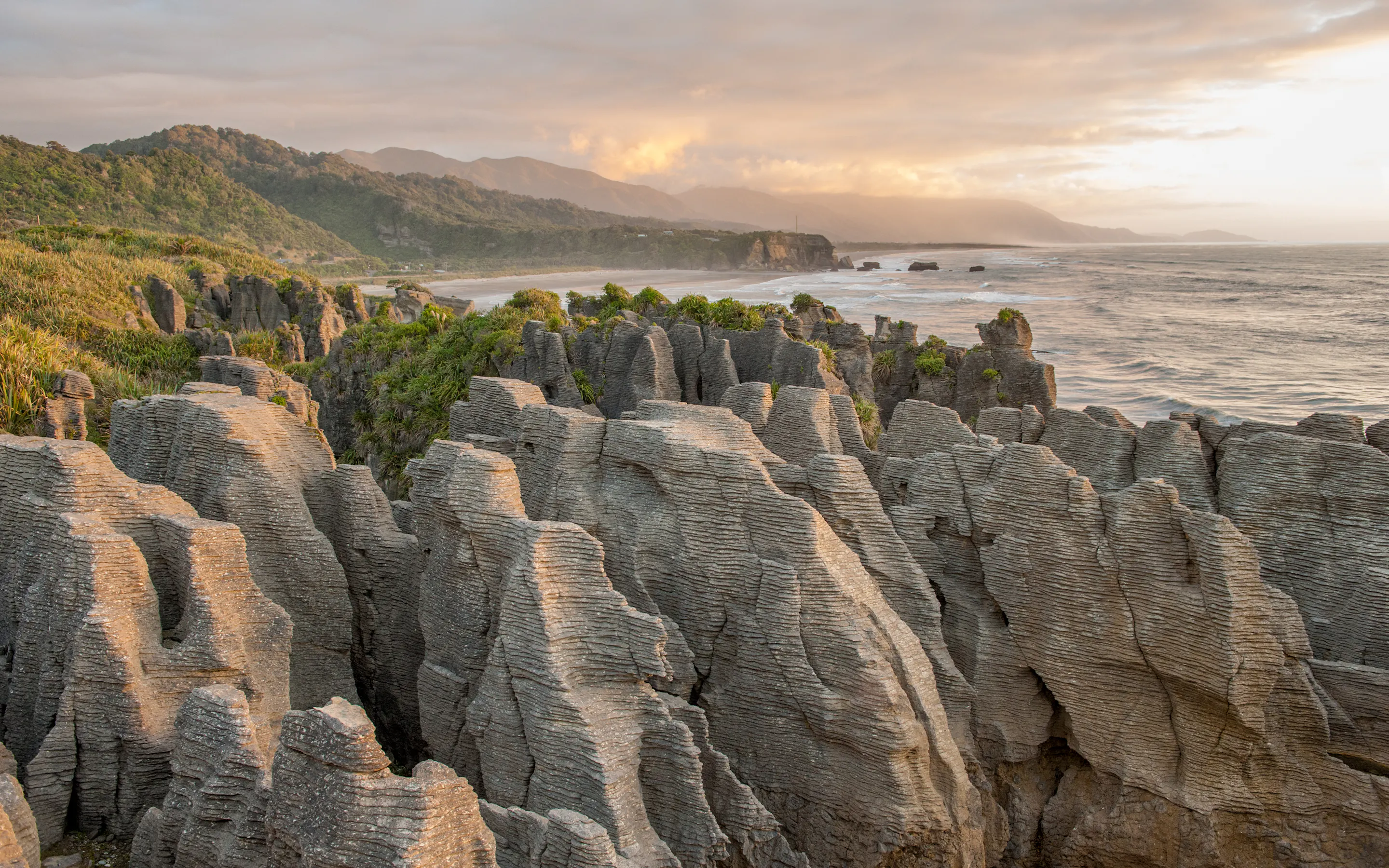 Layered pancake rock formations rise from the Tasman Sea at Punakaiki on New Zealand's West Coast.