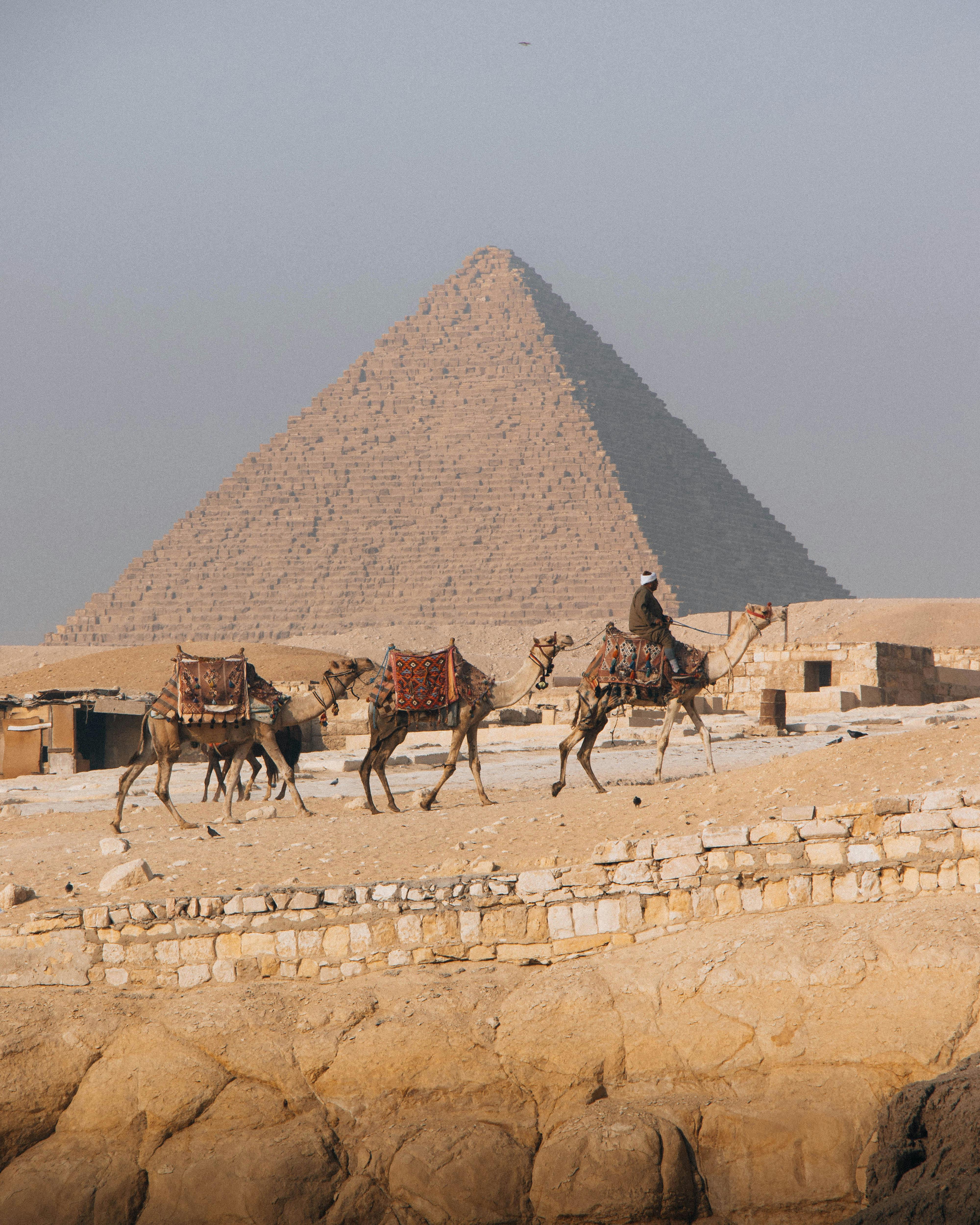 Two camels and their handlers stand before the Great Pyramid of Giza under a hazy desert sky.